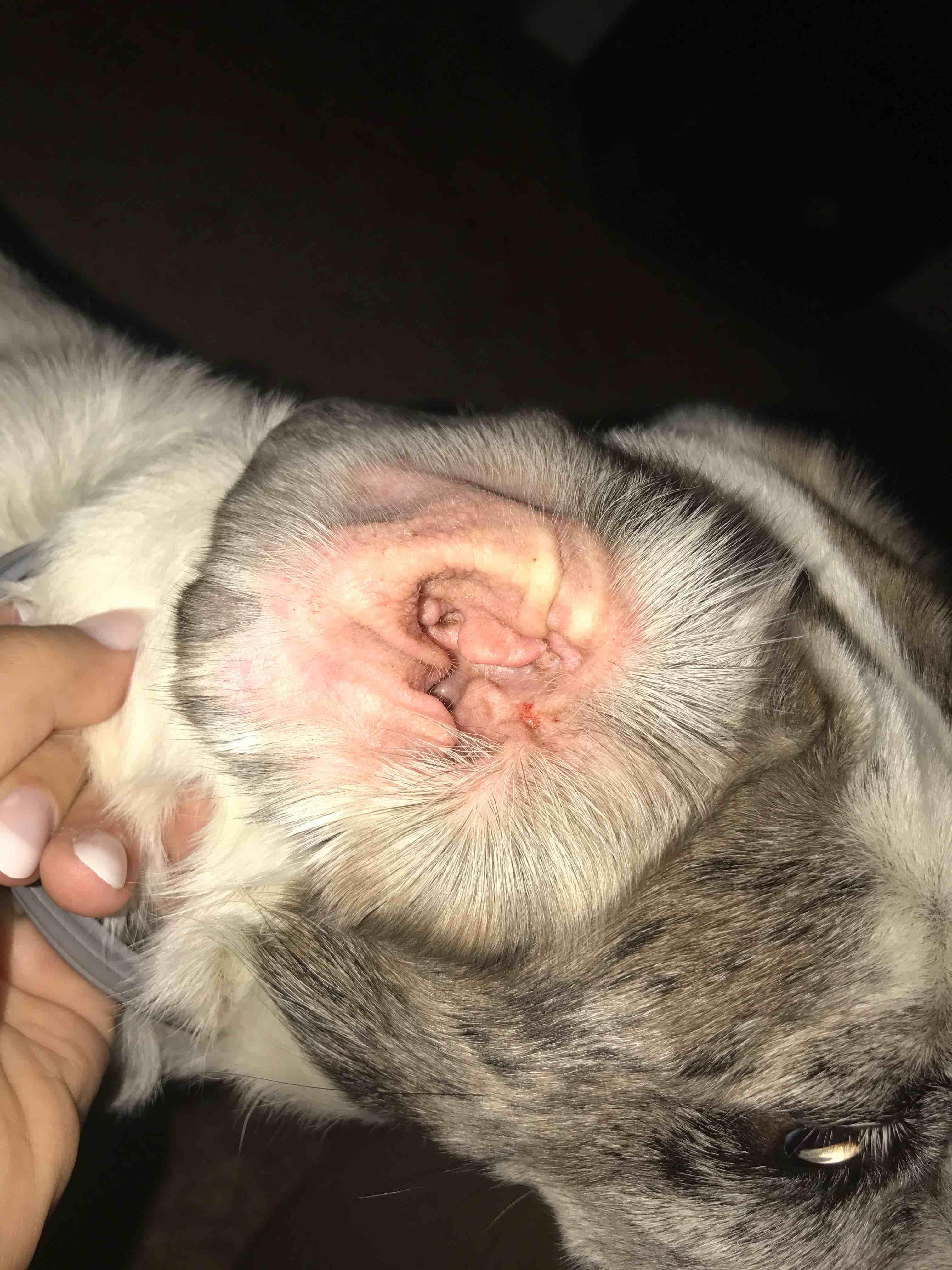 Question details sensitive content