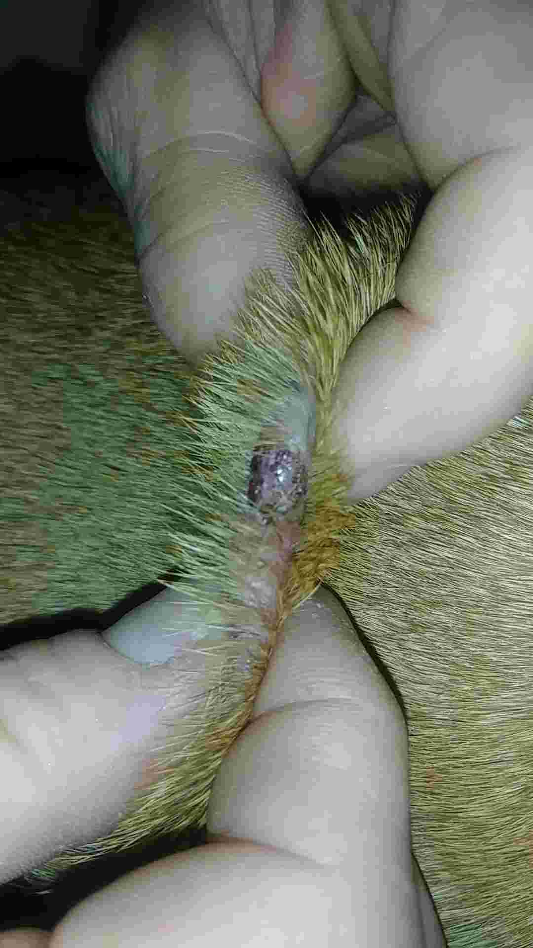 Question details sensitive content