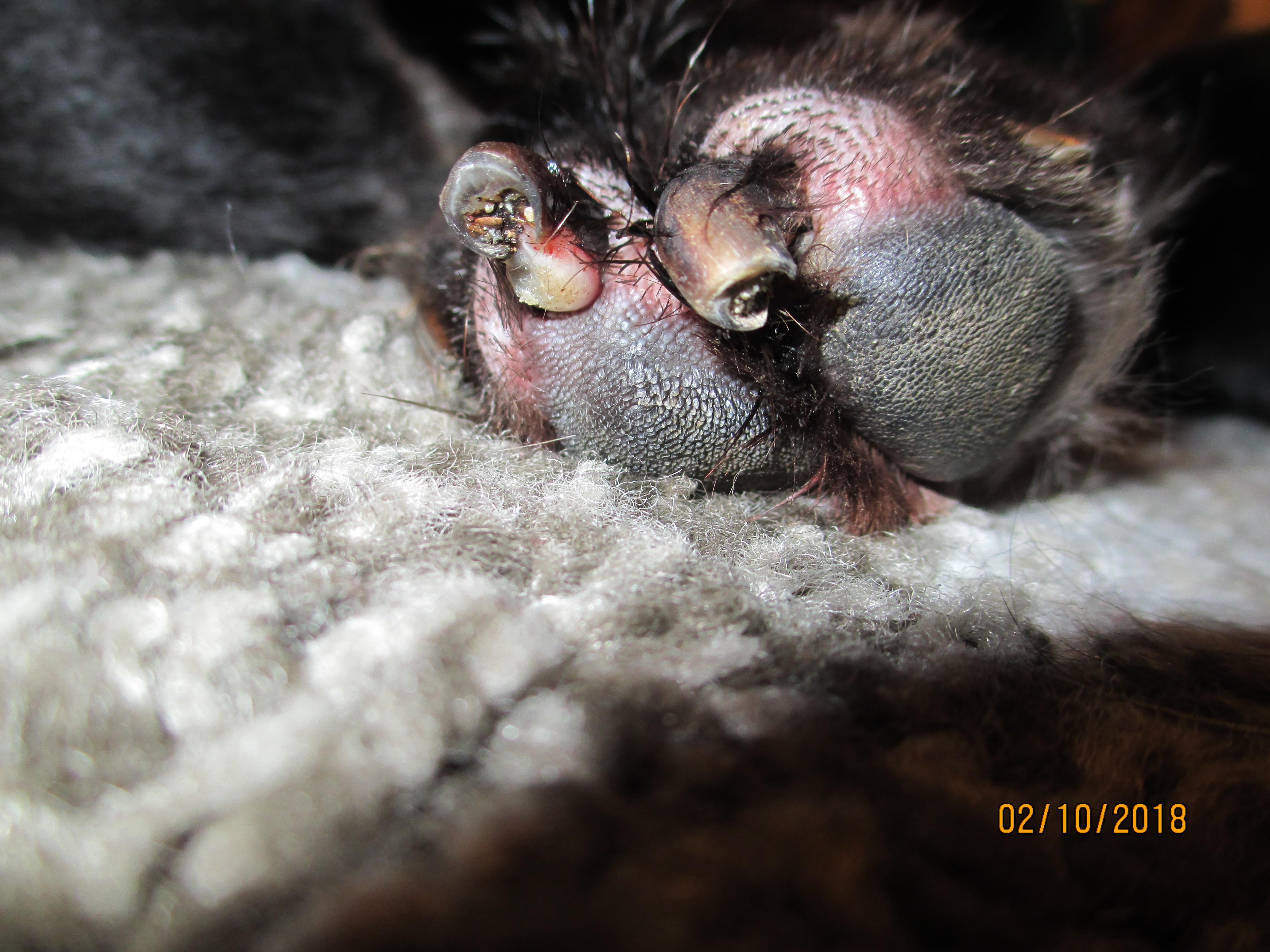 Question details sensitive content