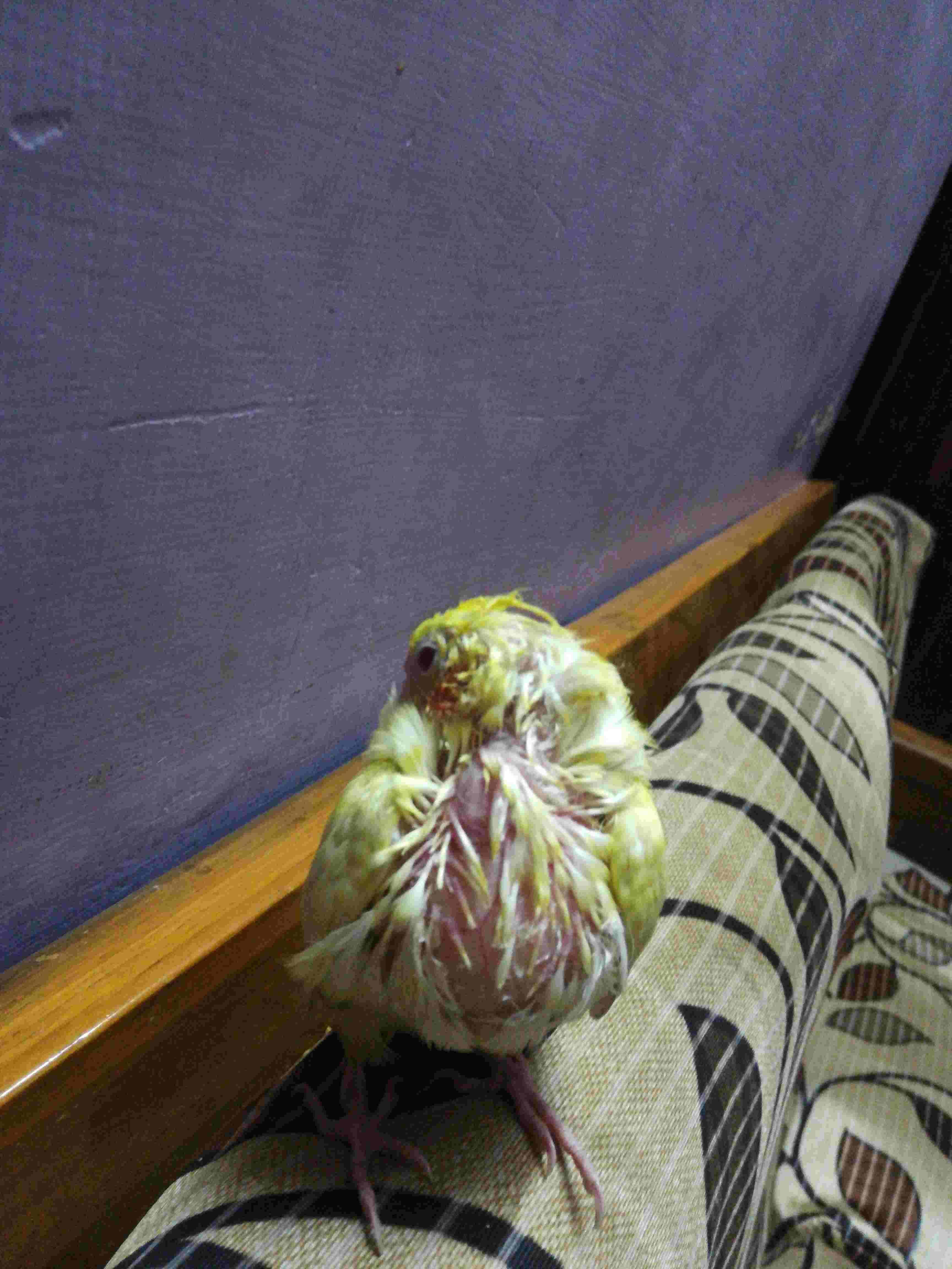 Question details sensitive content