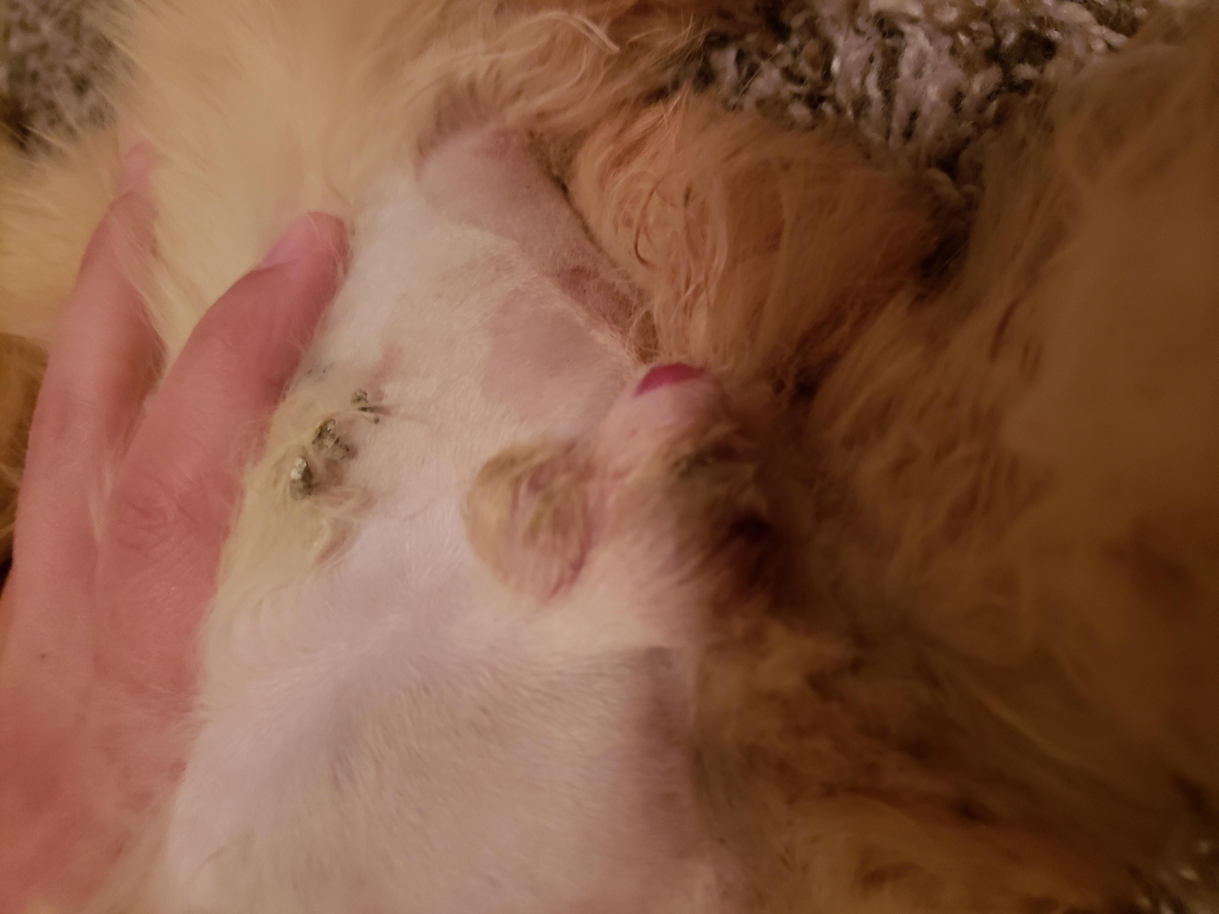 Question details sensitive content