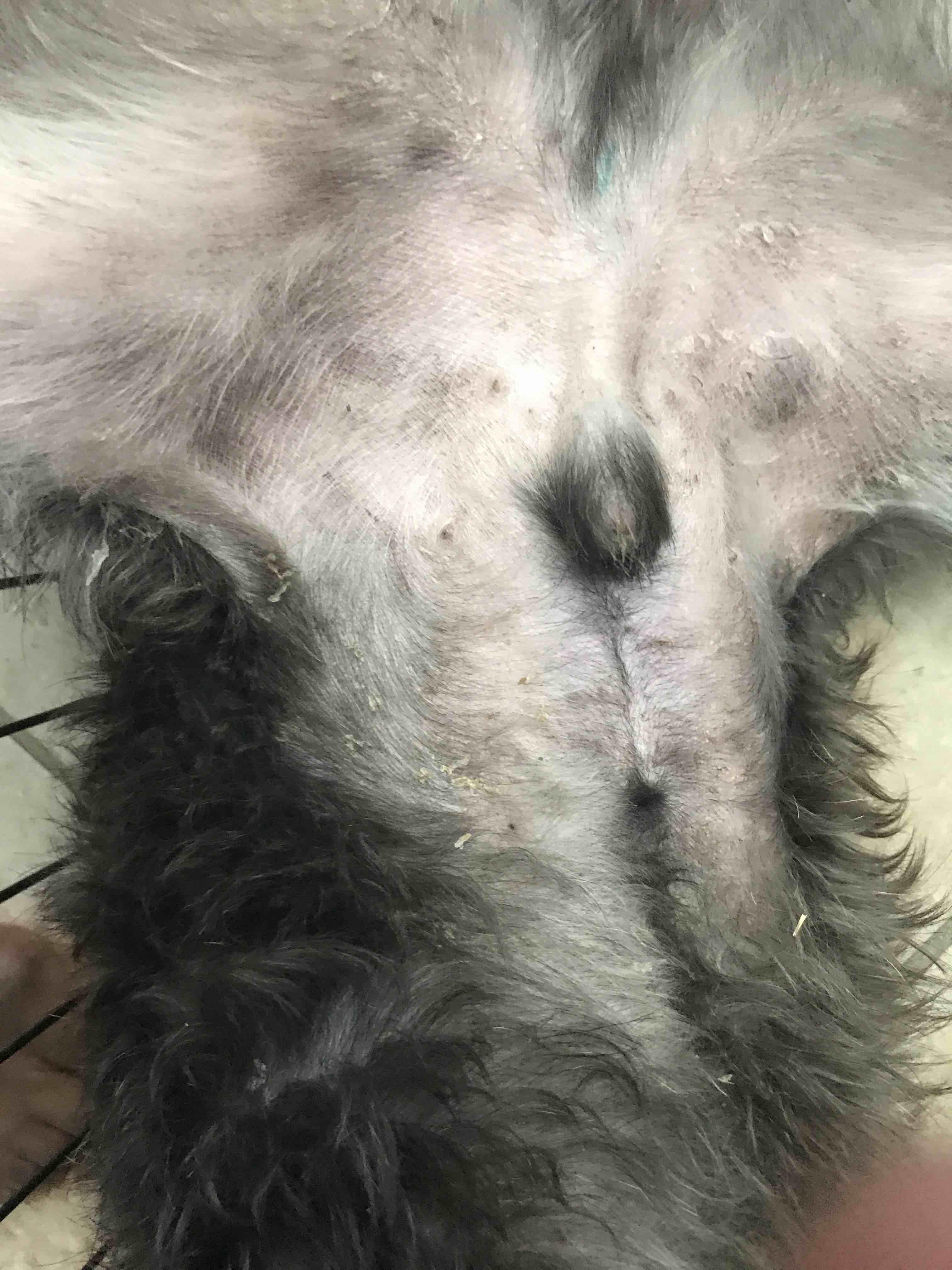 Question details sensitive content