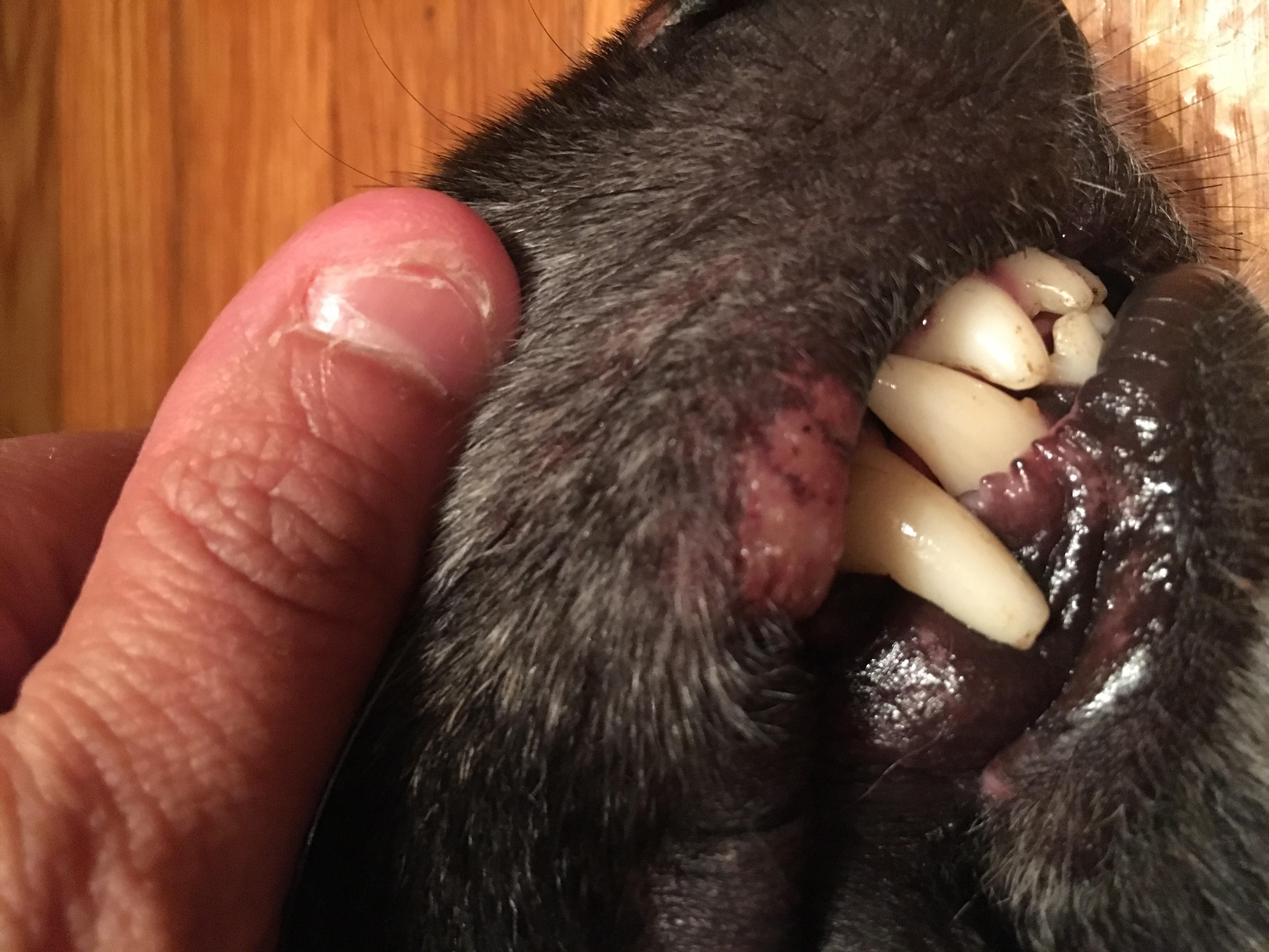 Question details sensitive content