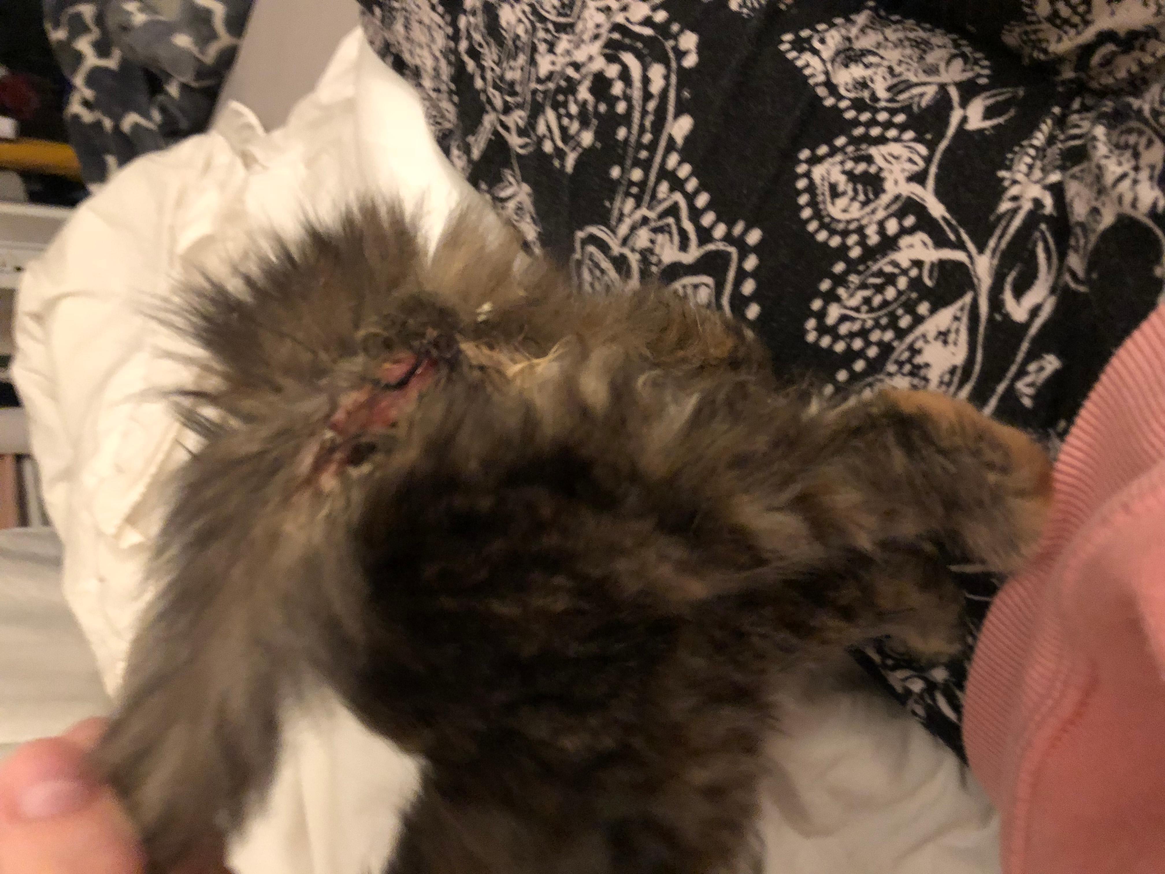 Question details sensitive content