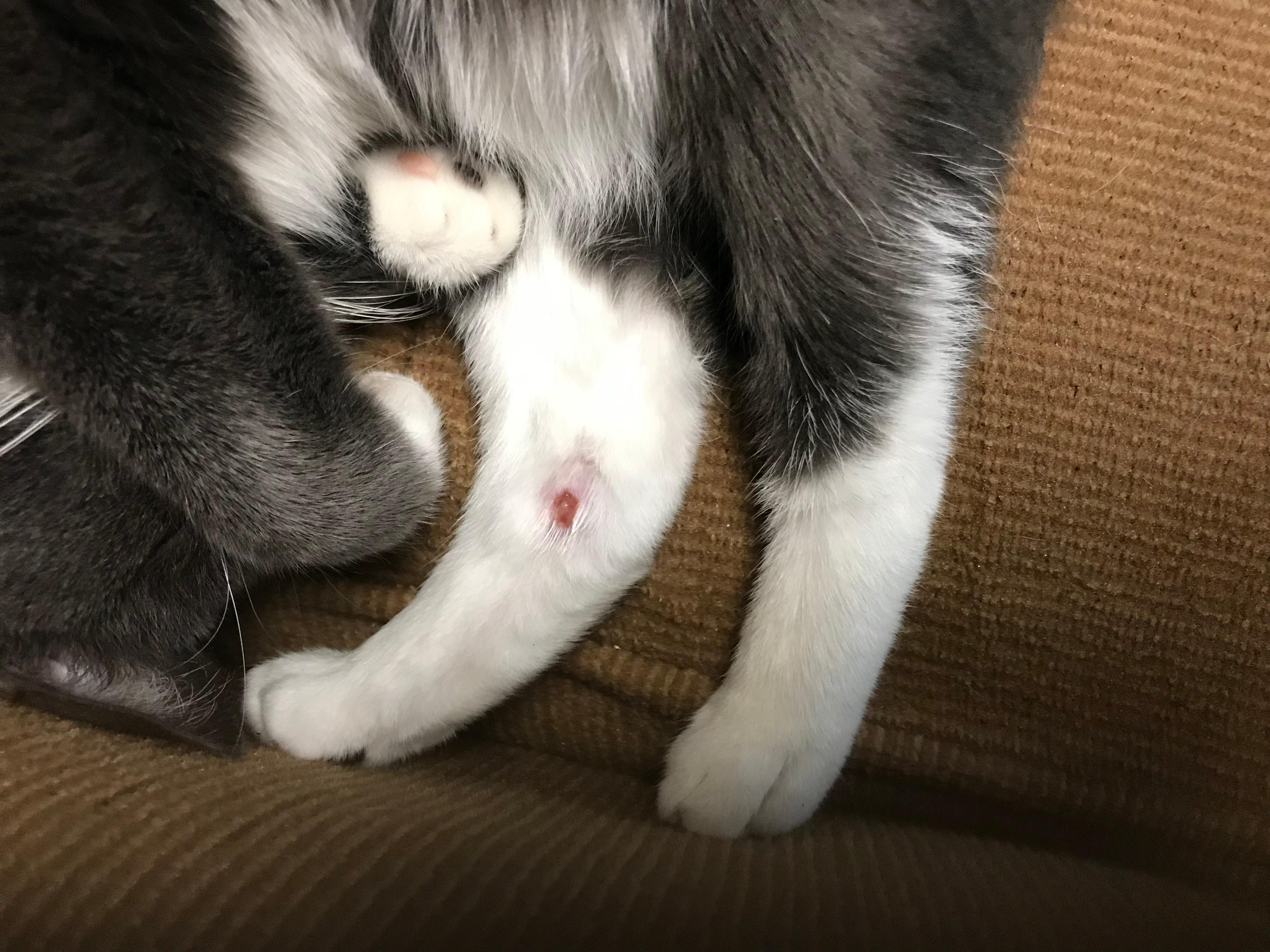 Question details sensitive content