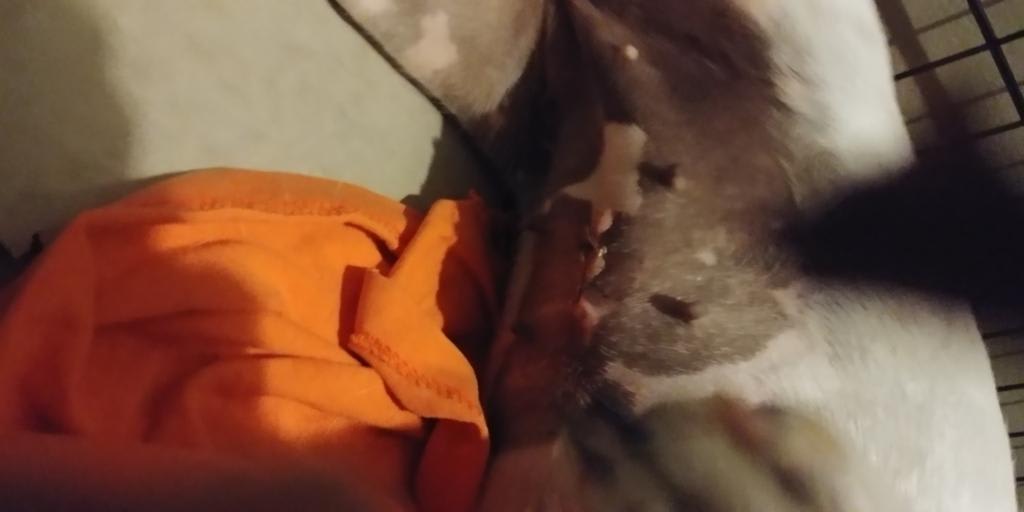 Question details sensitive content