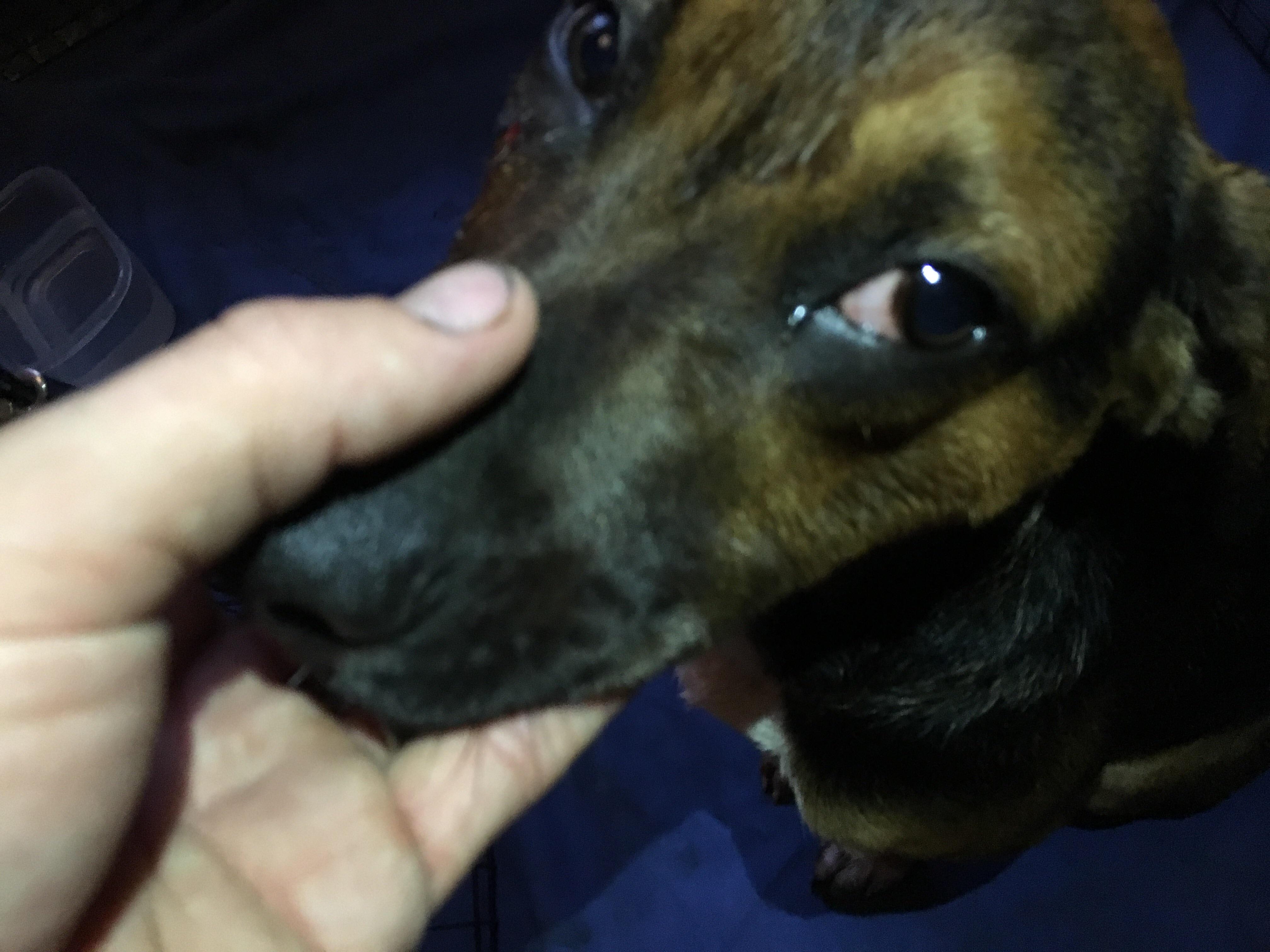 Question details sensitive content