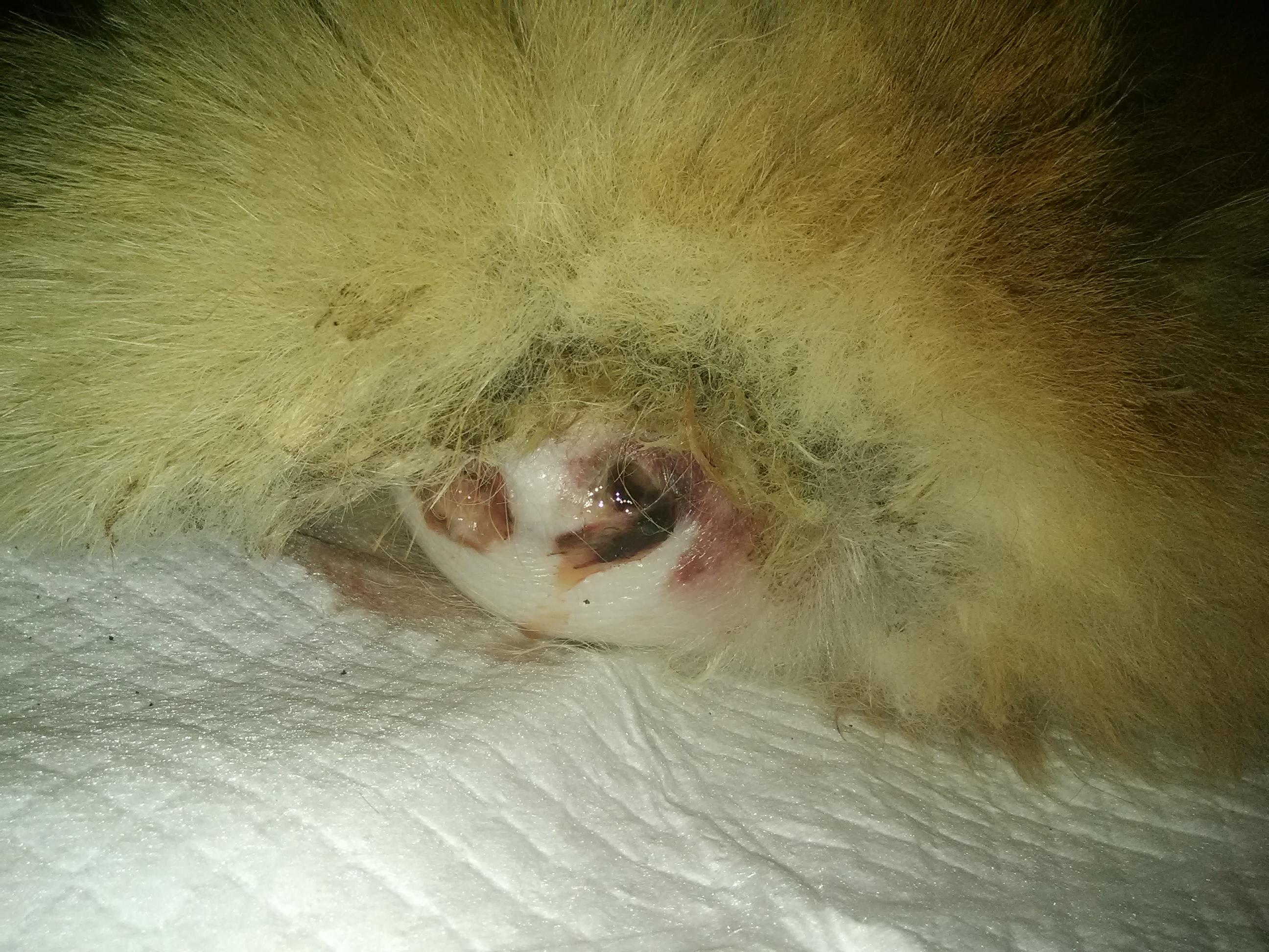 Question details sensitive content