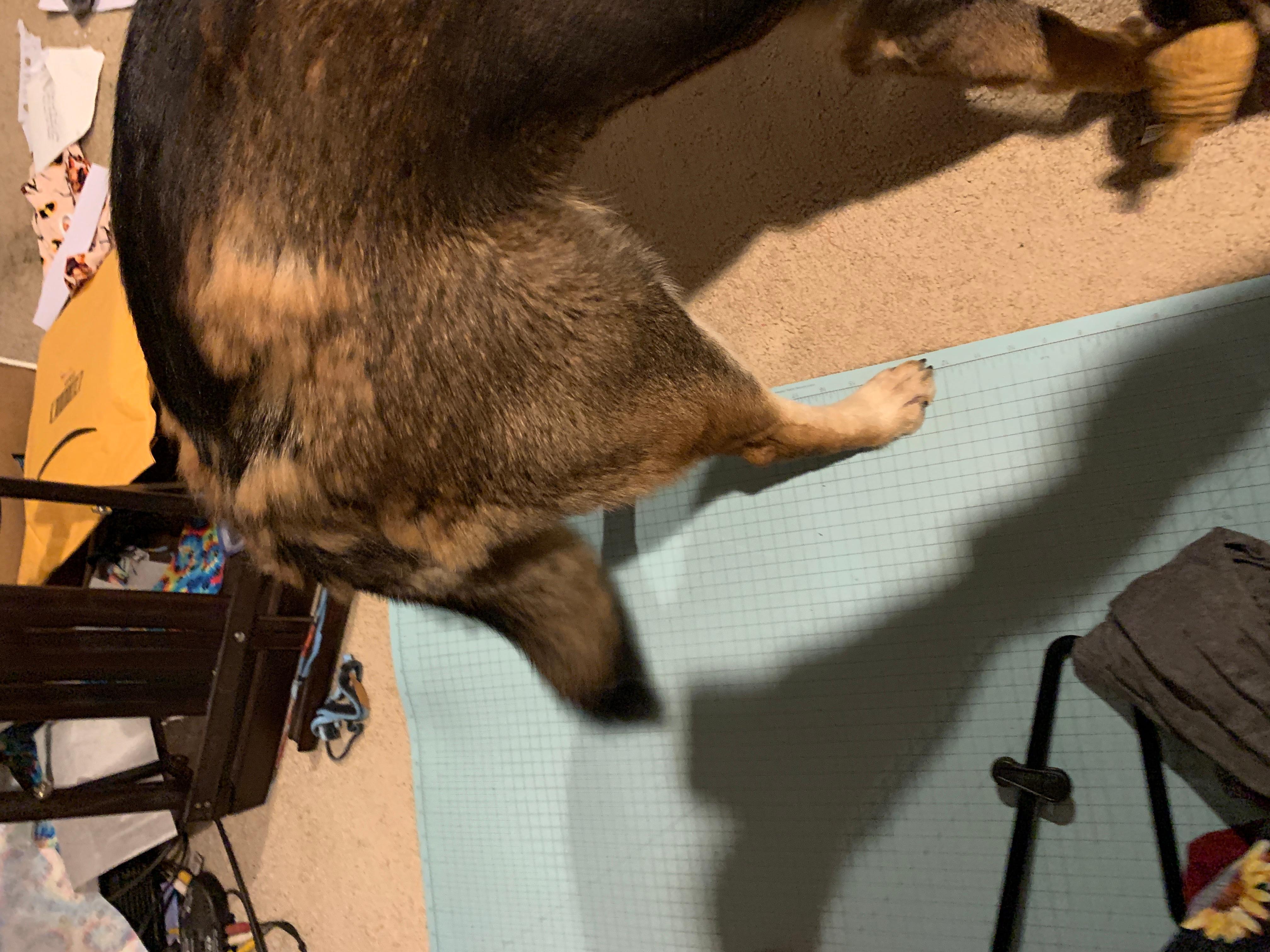 Question details sensitive content