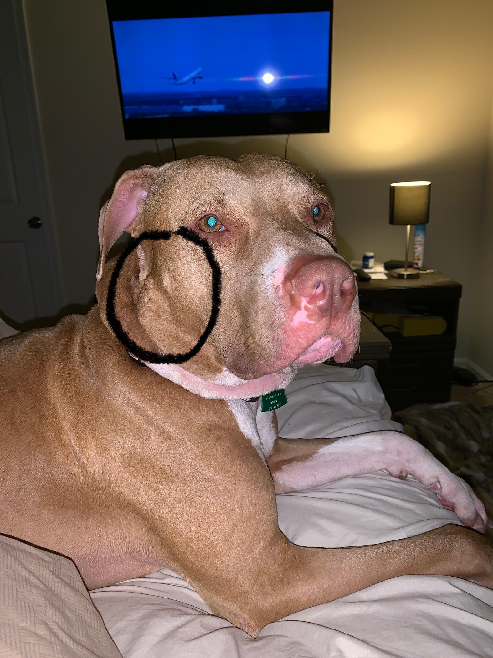 Question details sensitive content