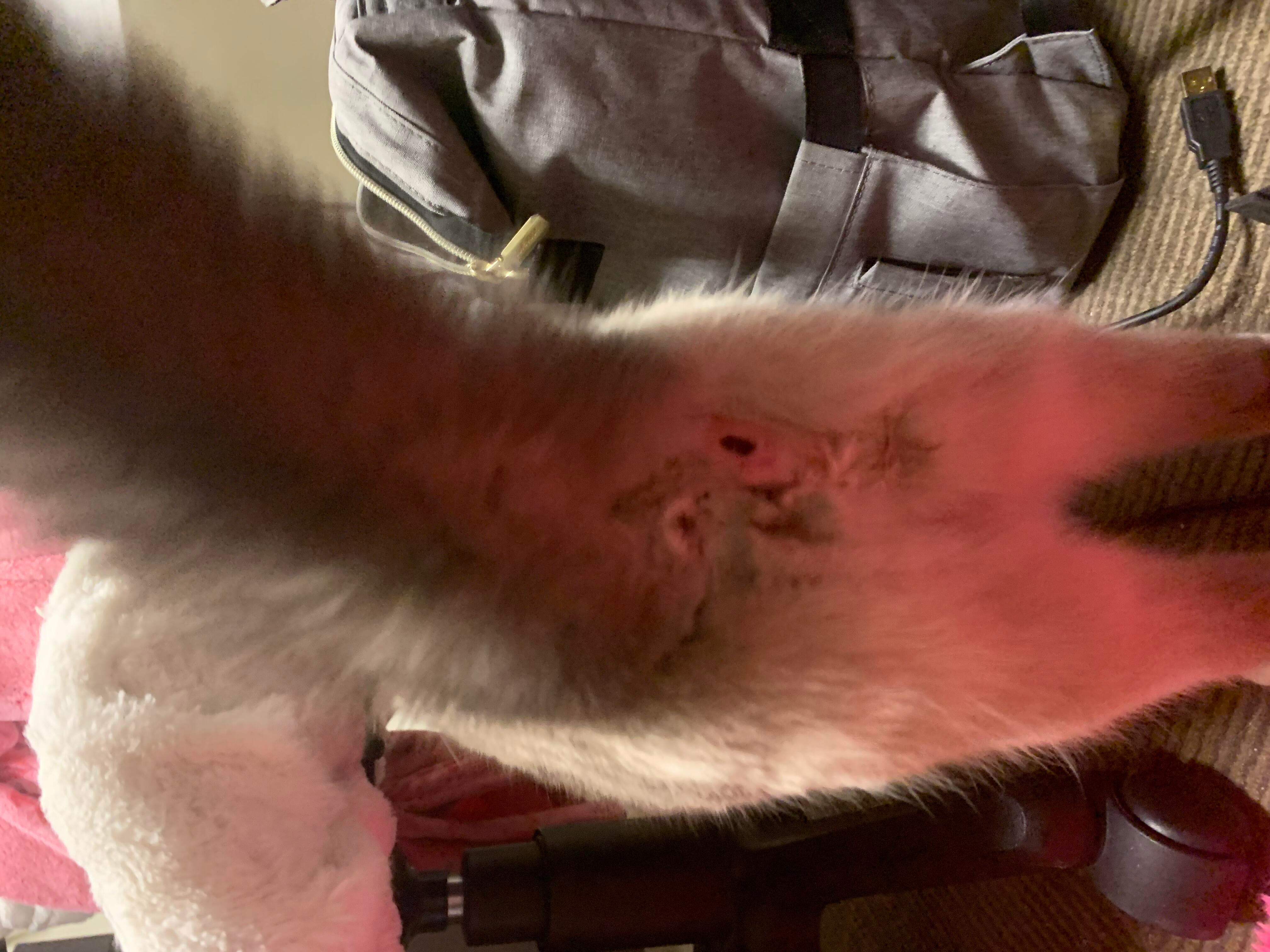 Question details sensitive content