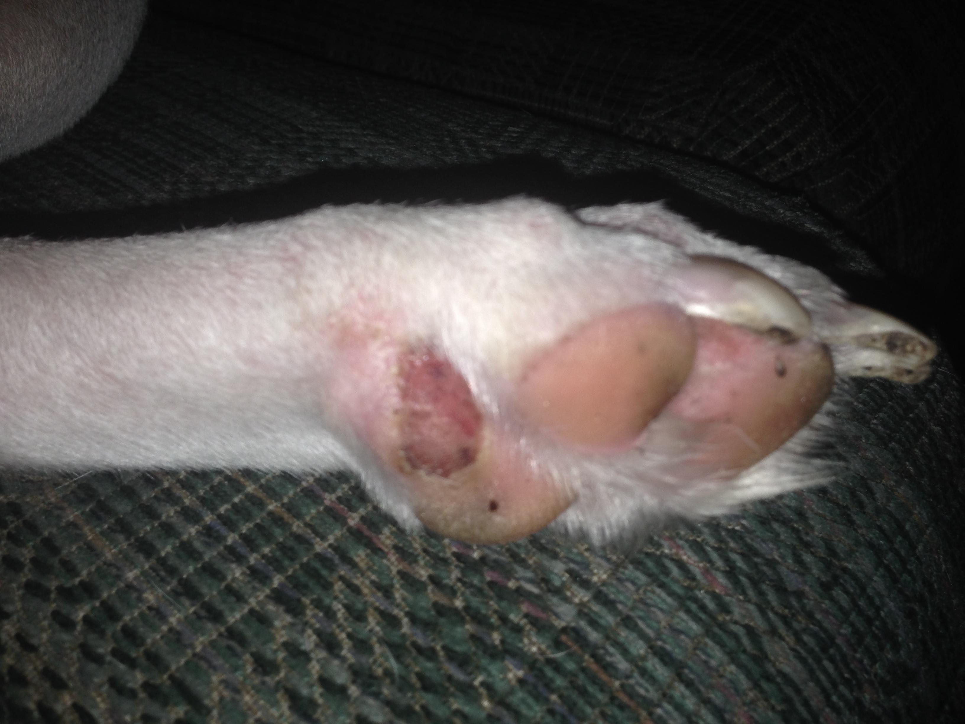 Question details sensitive content