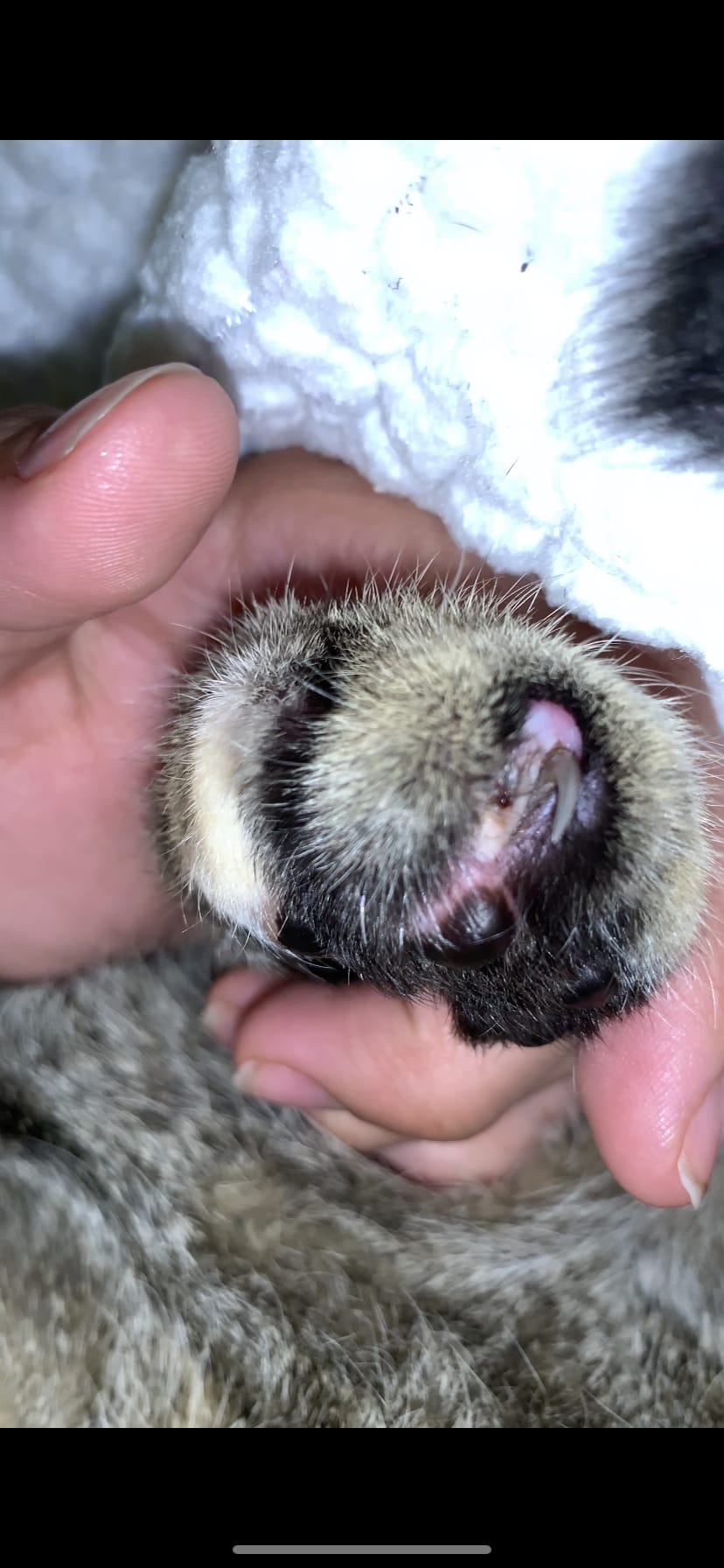 Question details sensitive content