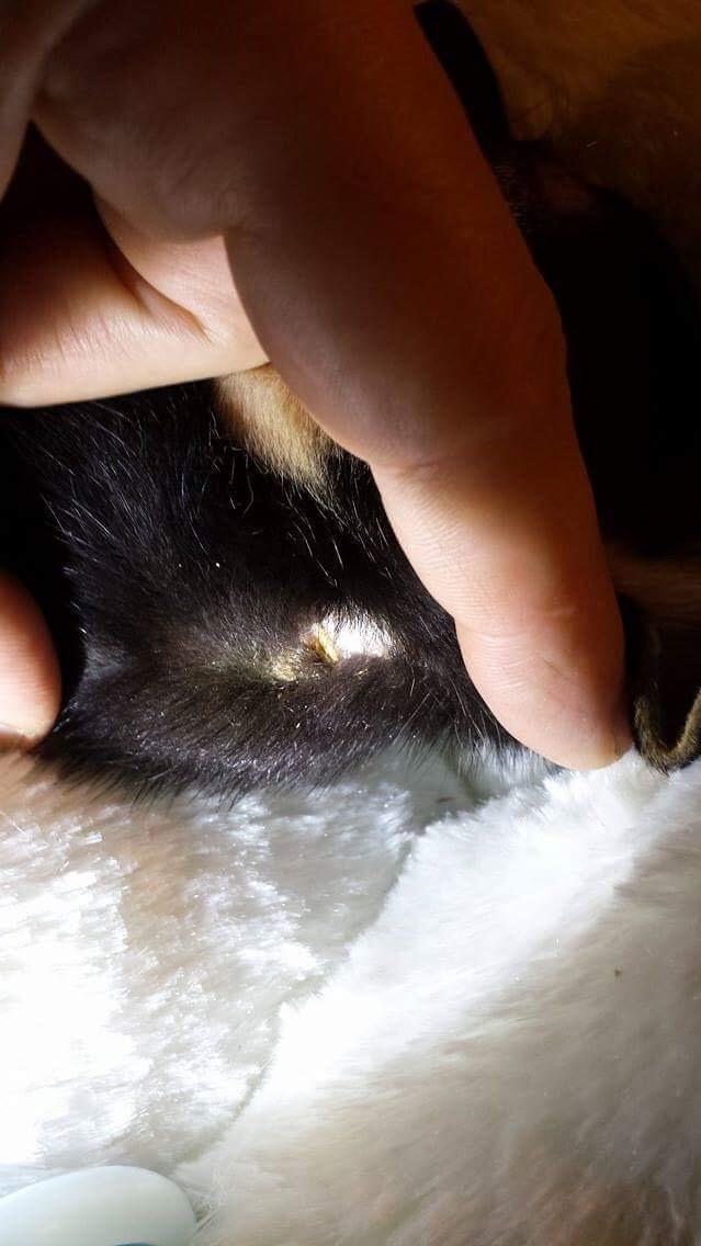 Question details sensitive content