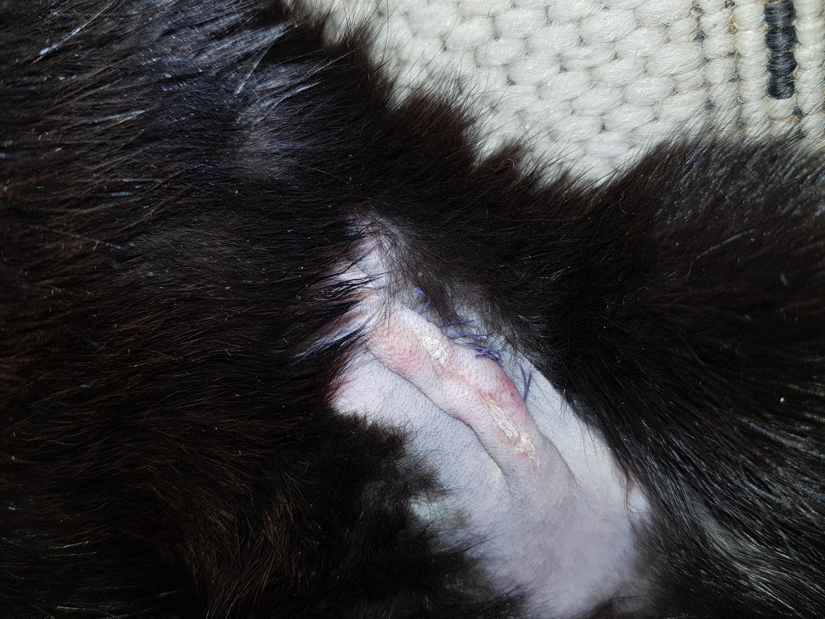 Question details sensitive content