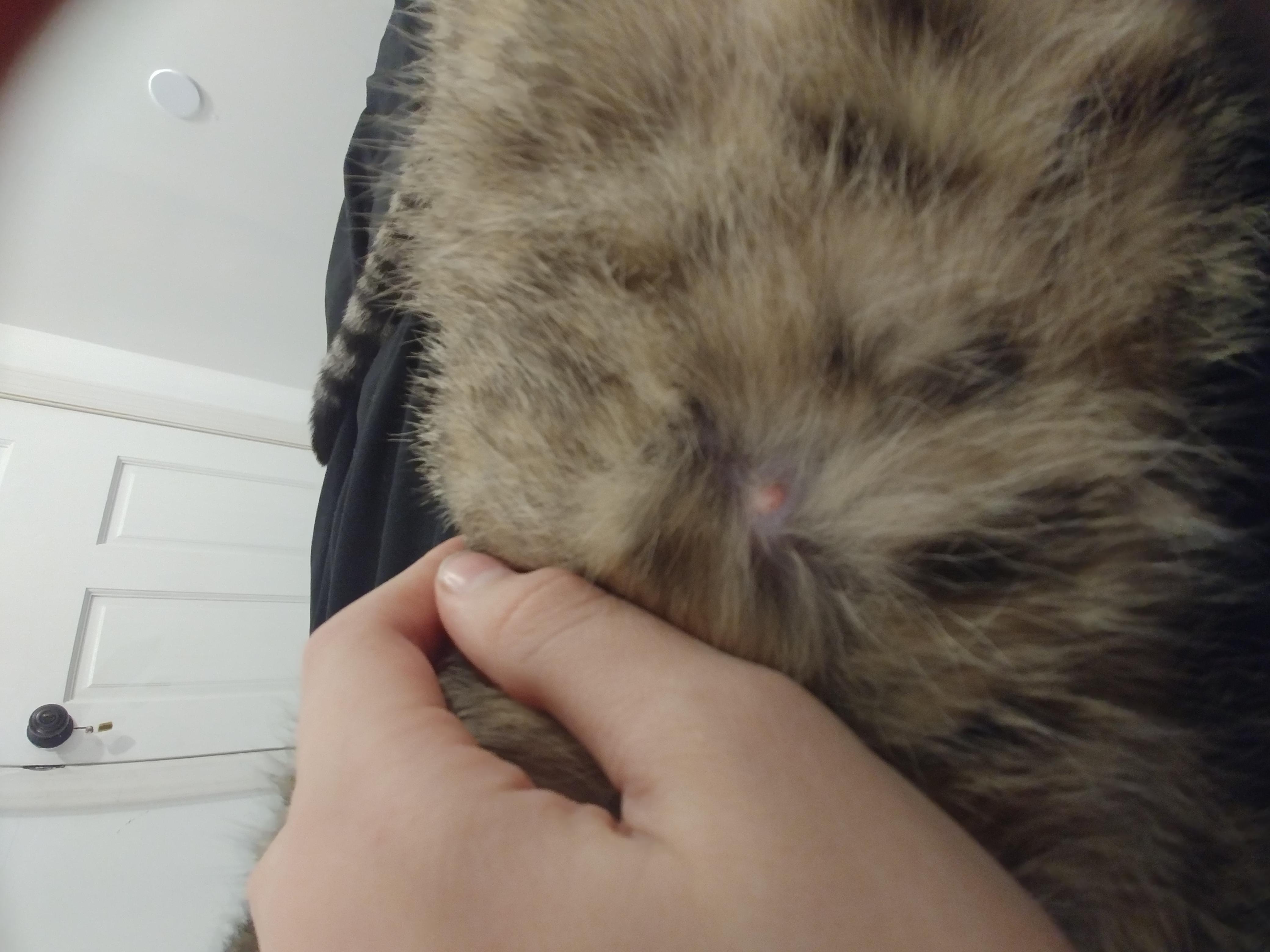 Question details sensitive content