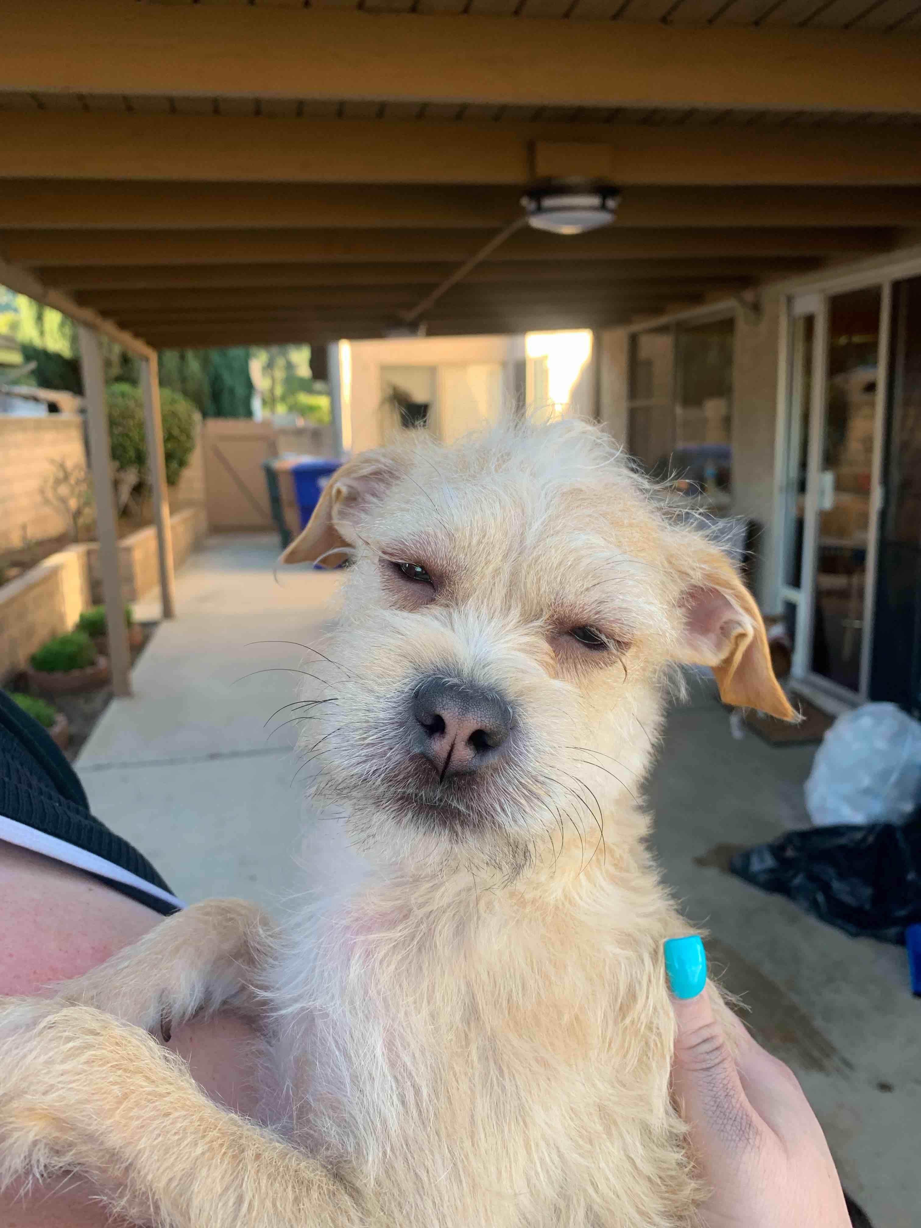 Question details sensitive content