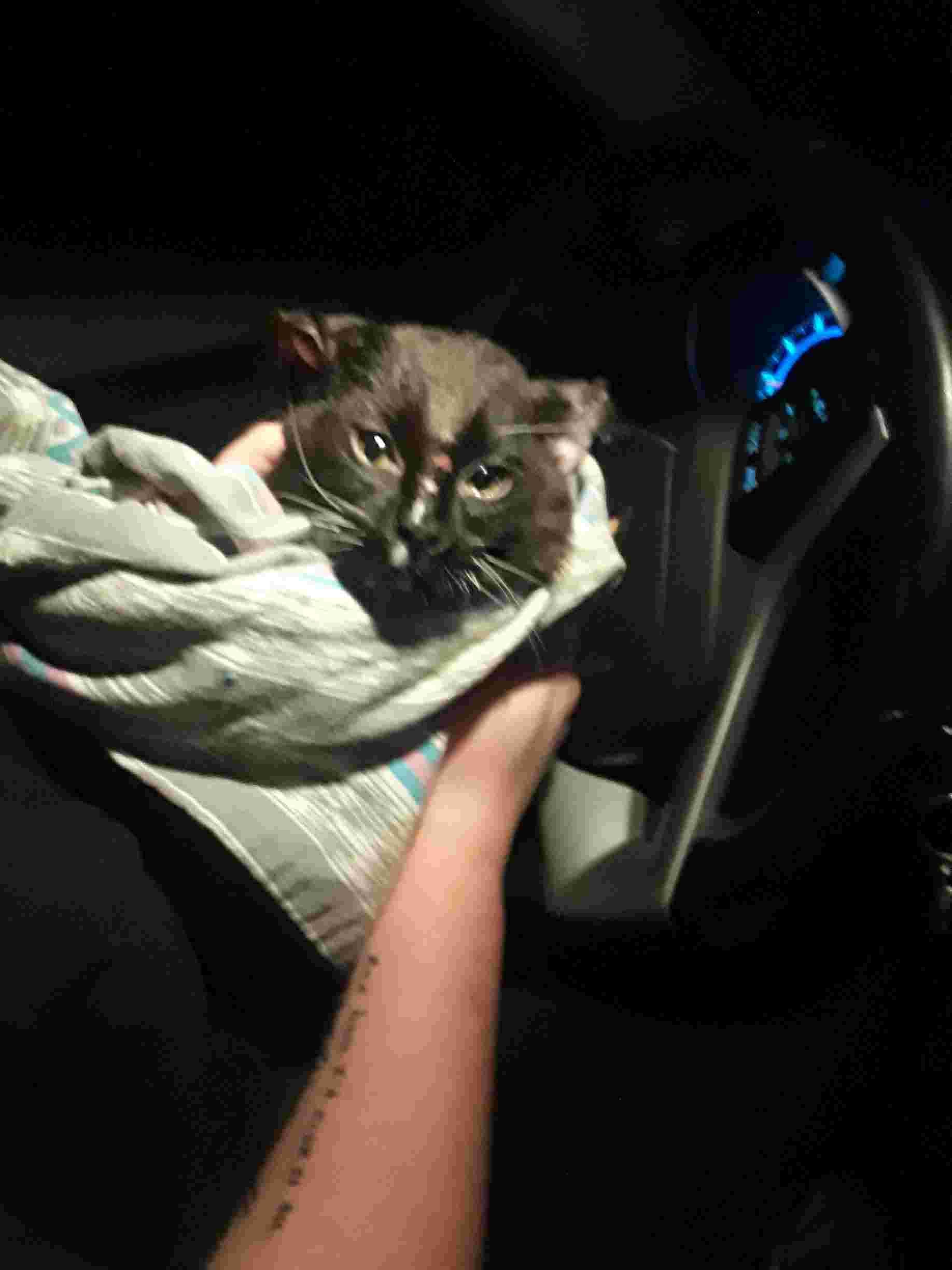 Question details sensitive content