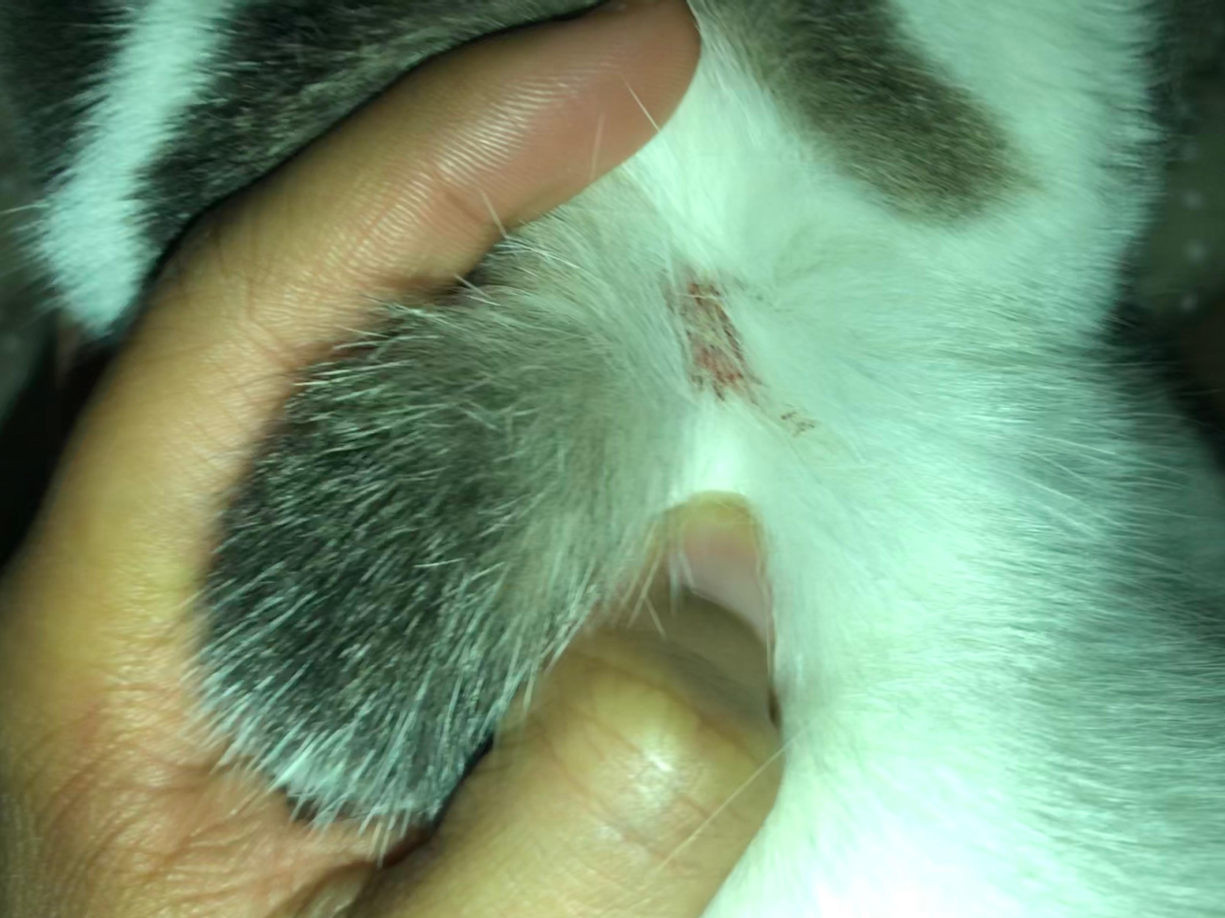 Question details sensitive content