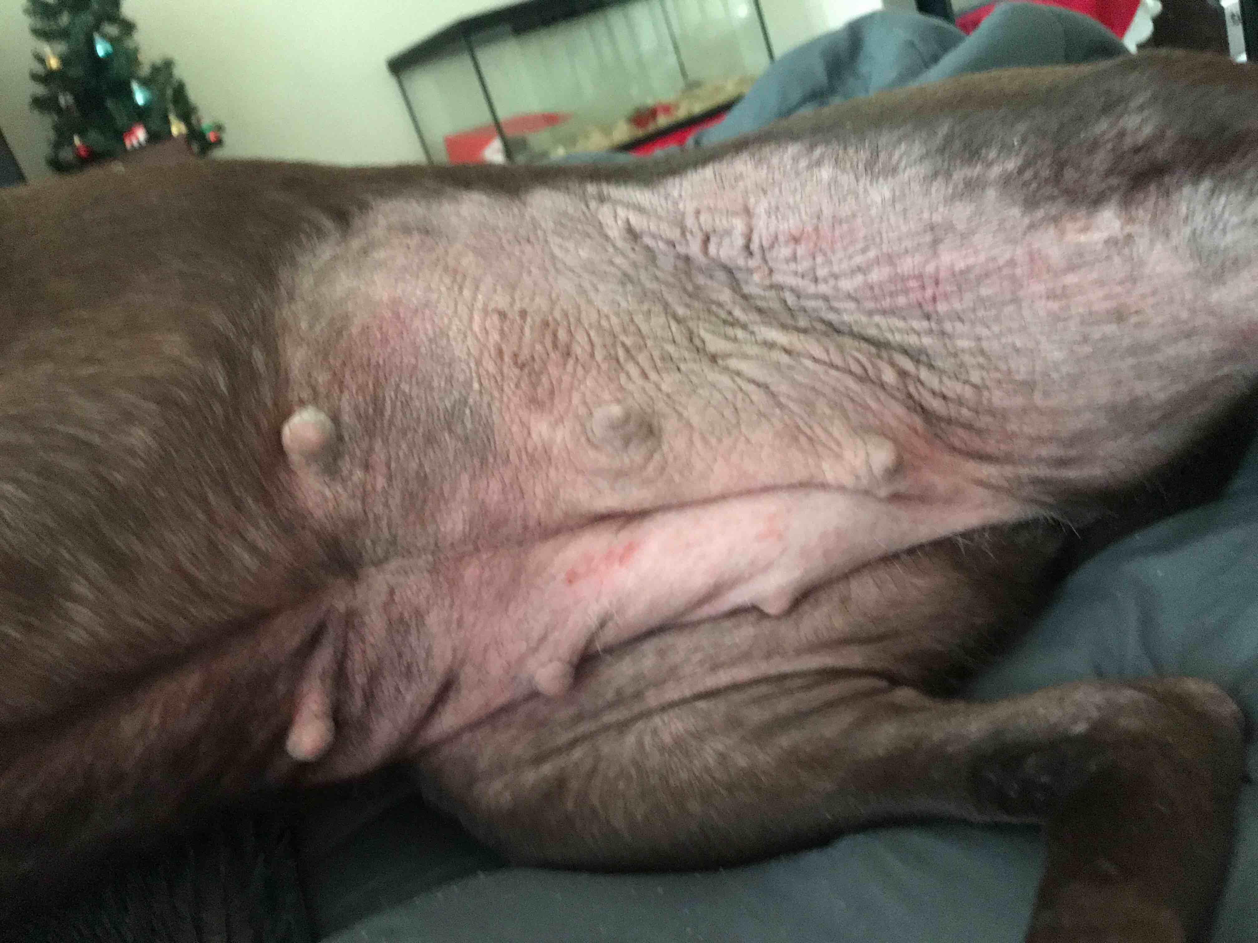 Question details sensitive content