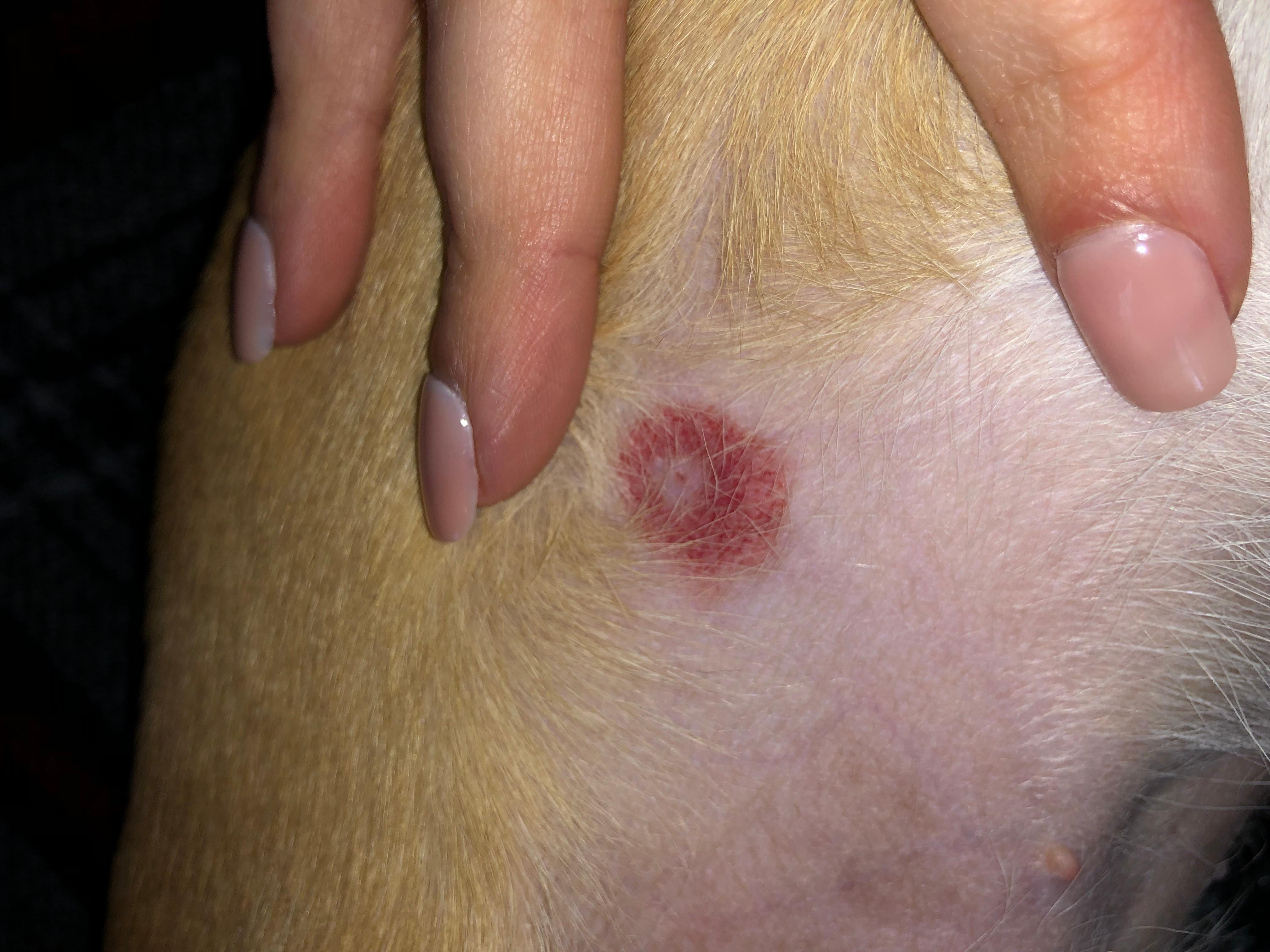 Question details sensitive content