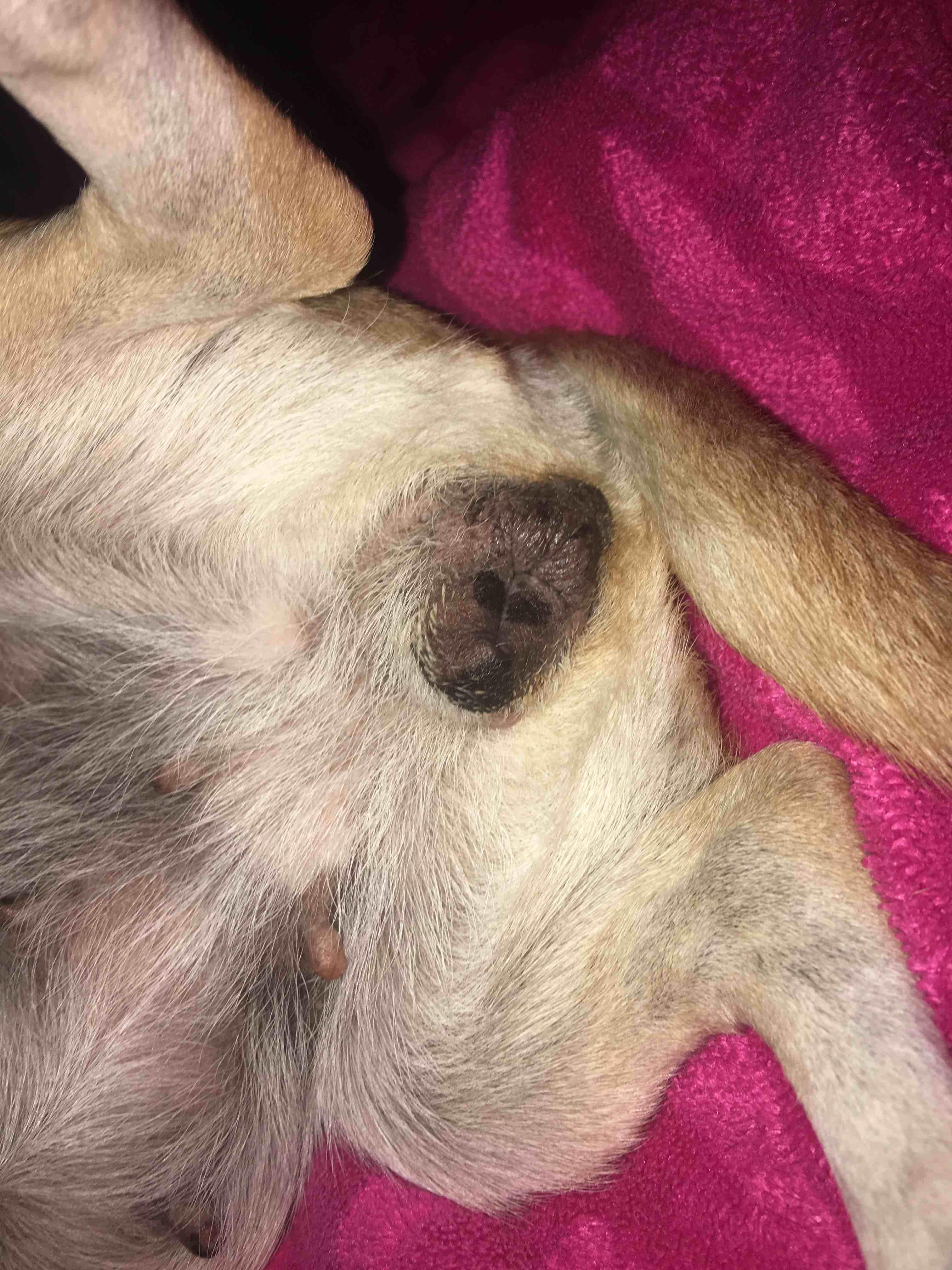 Question details sensitive content