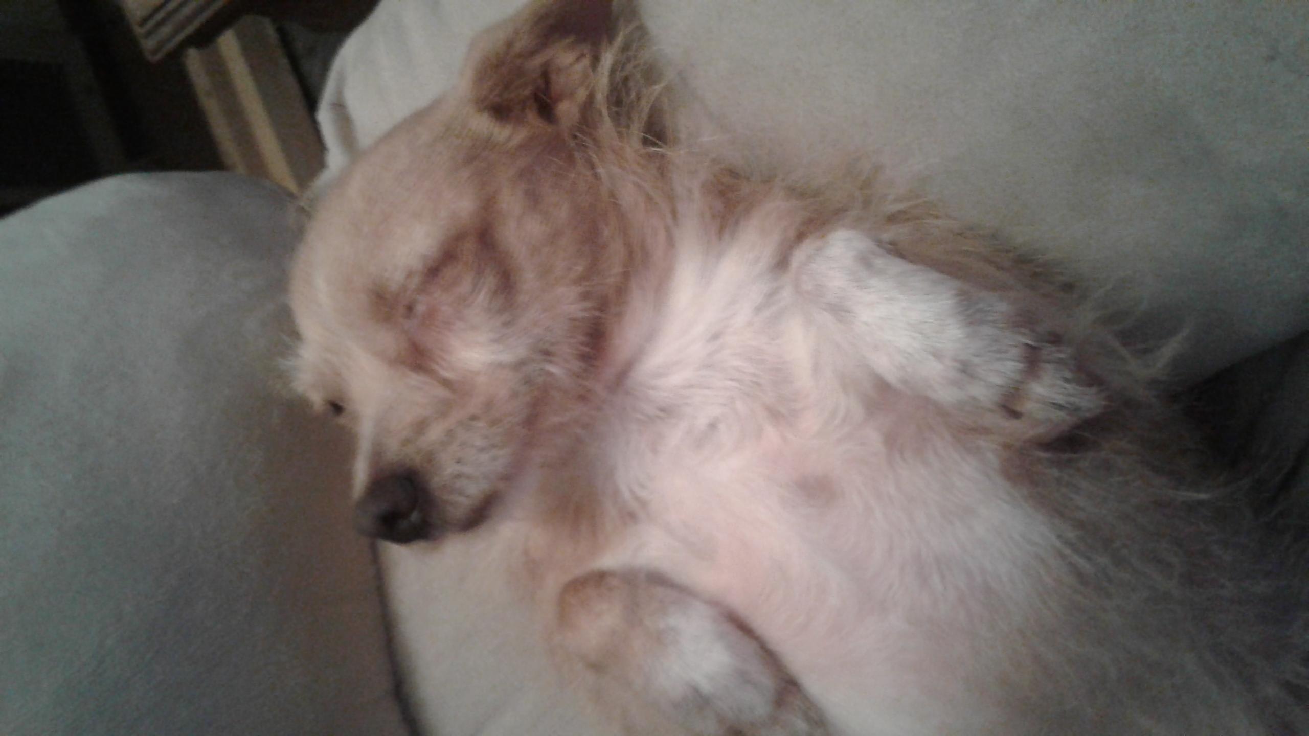 Question details sensitive content