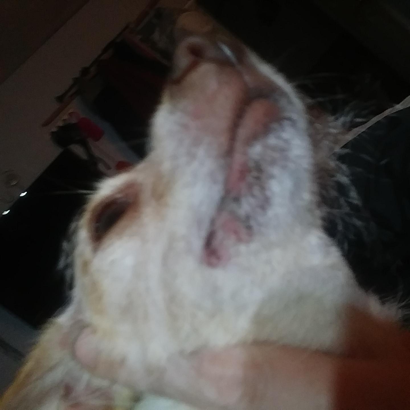 Question details sensitive content