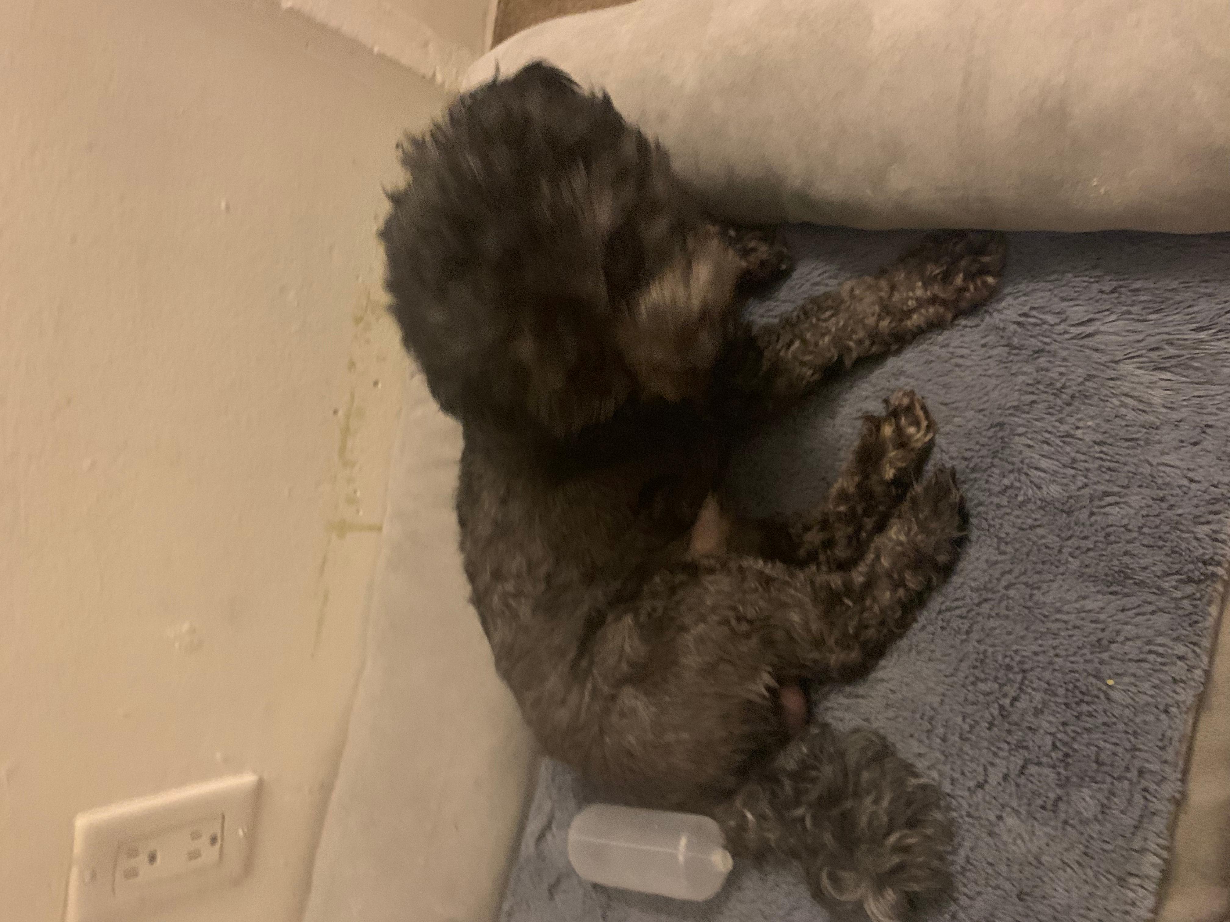 Question details sensitive content