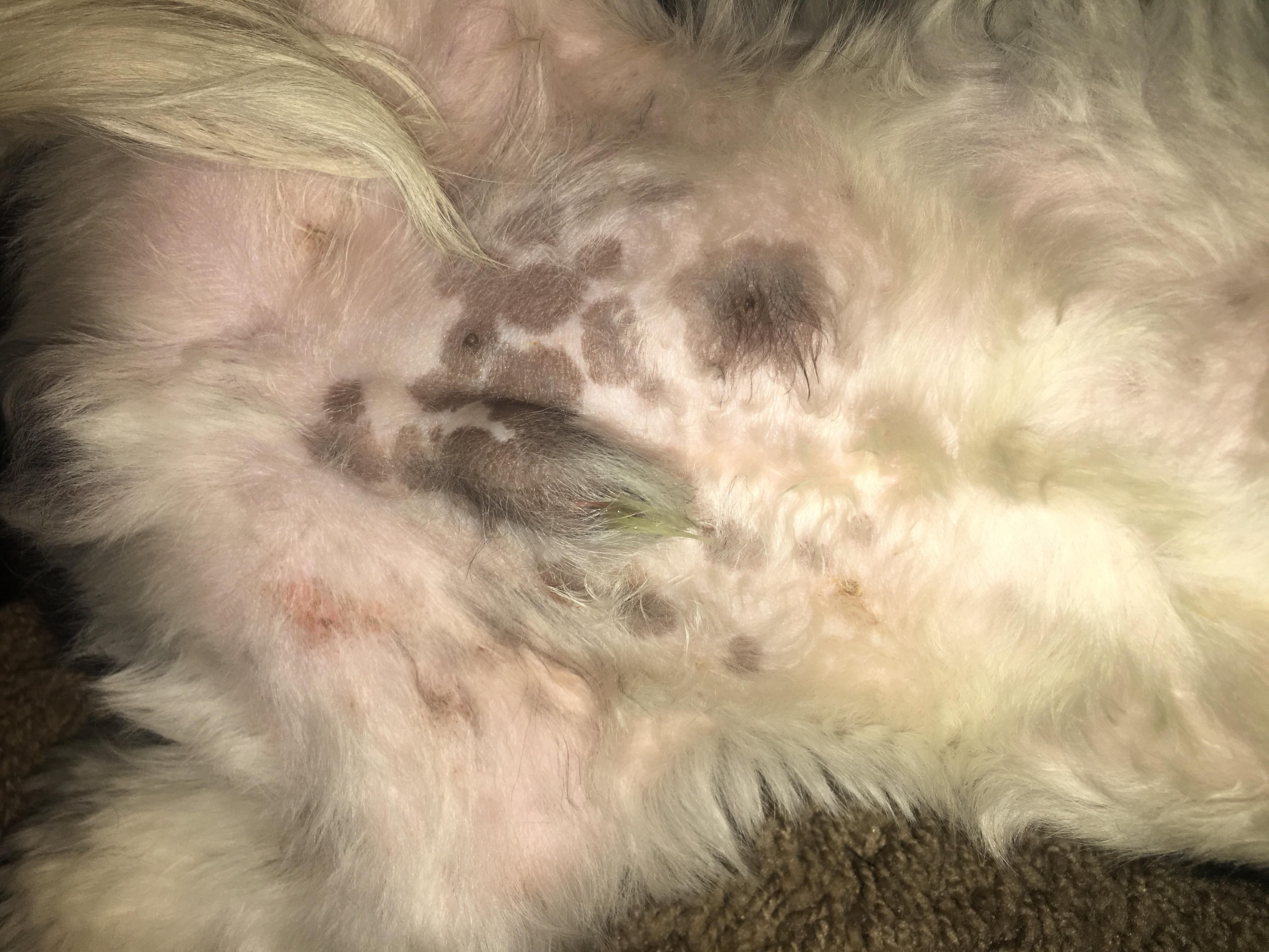 Question details sensitive content