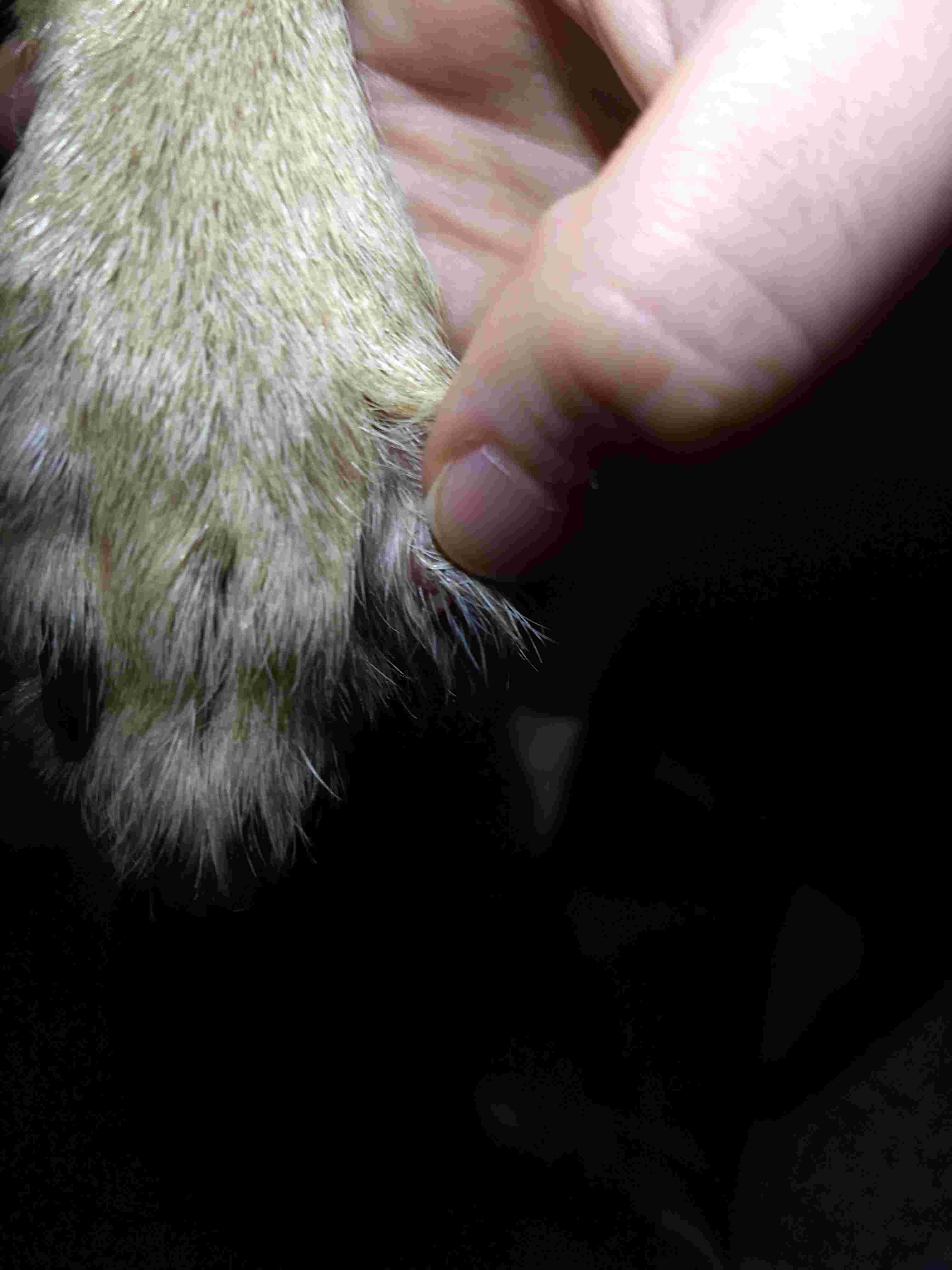 Question details sensitive content