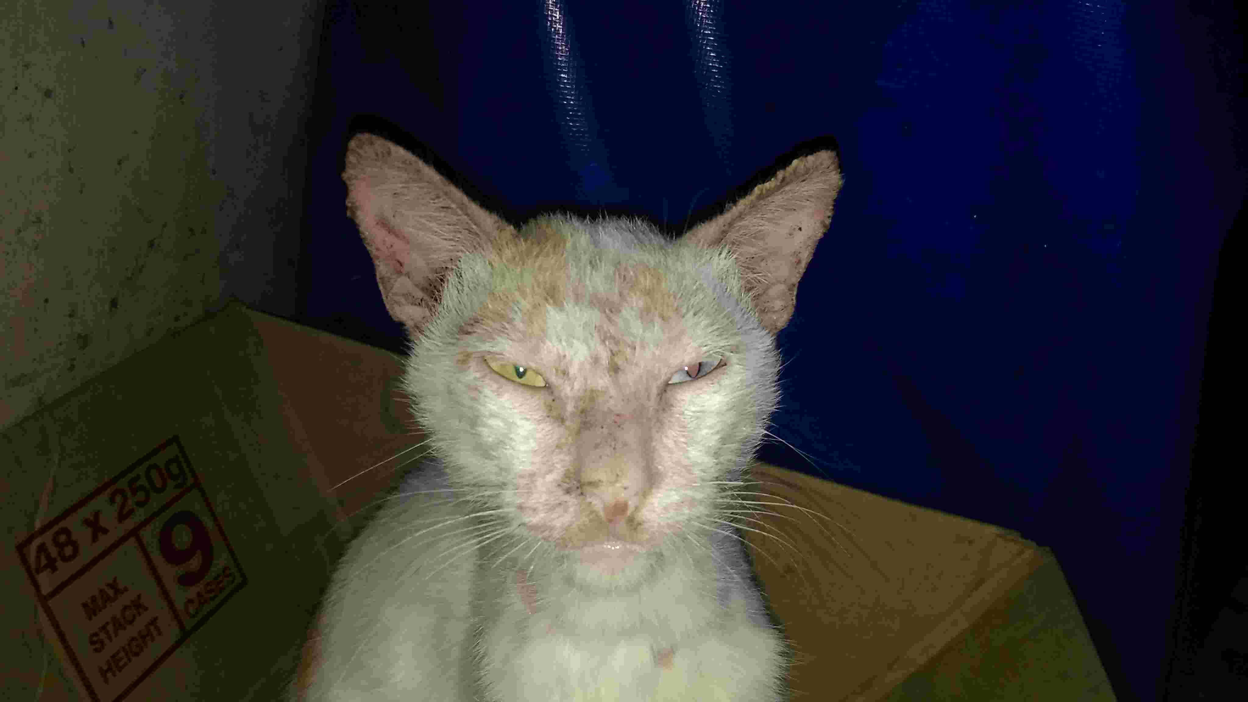 Question details sensitive content