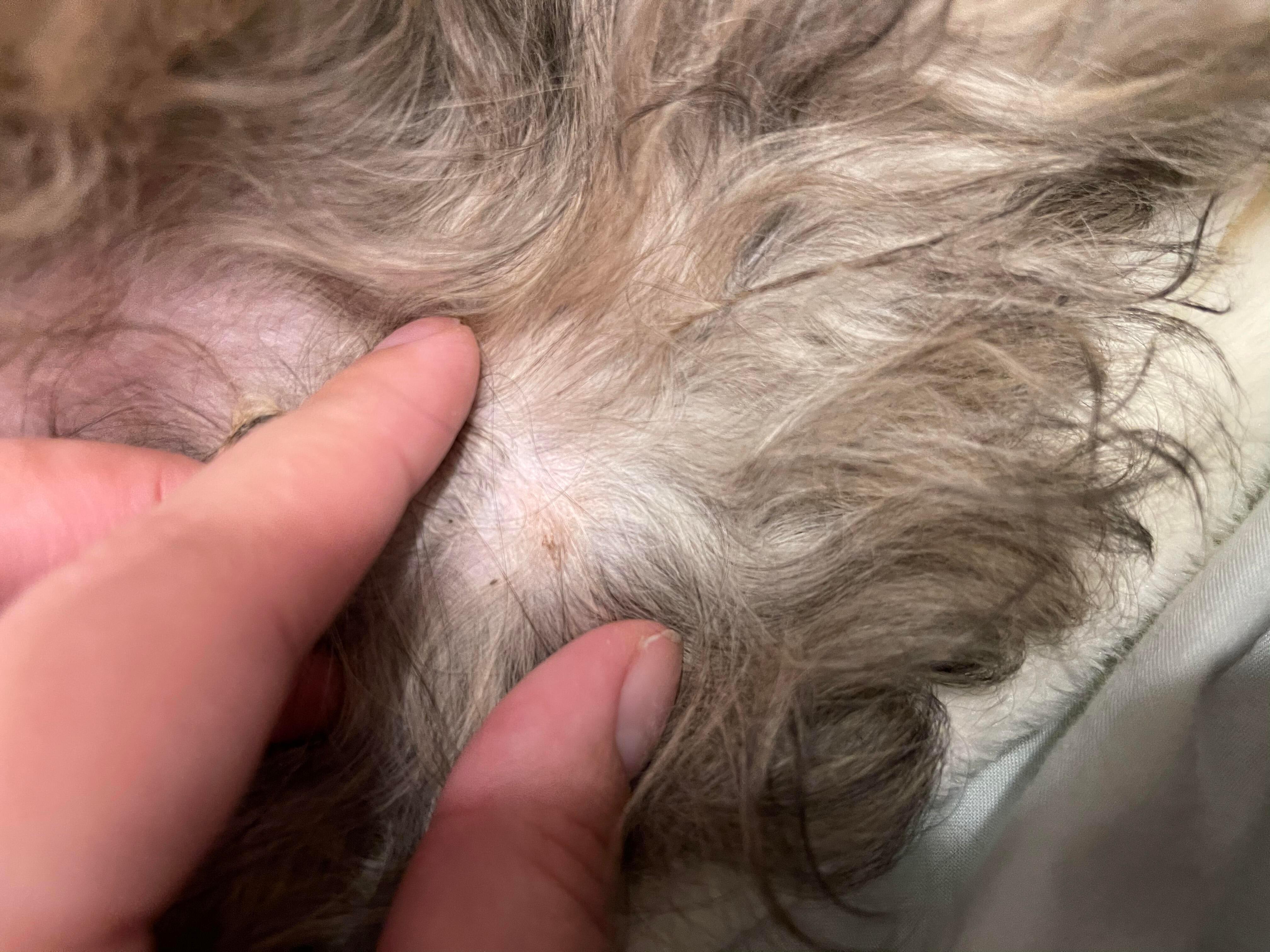 Question details sensitive content