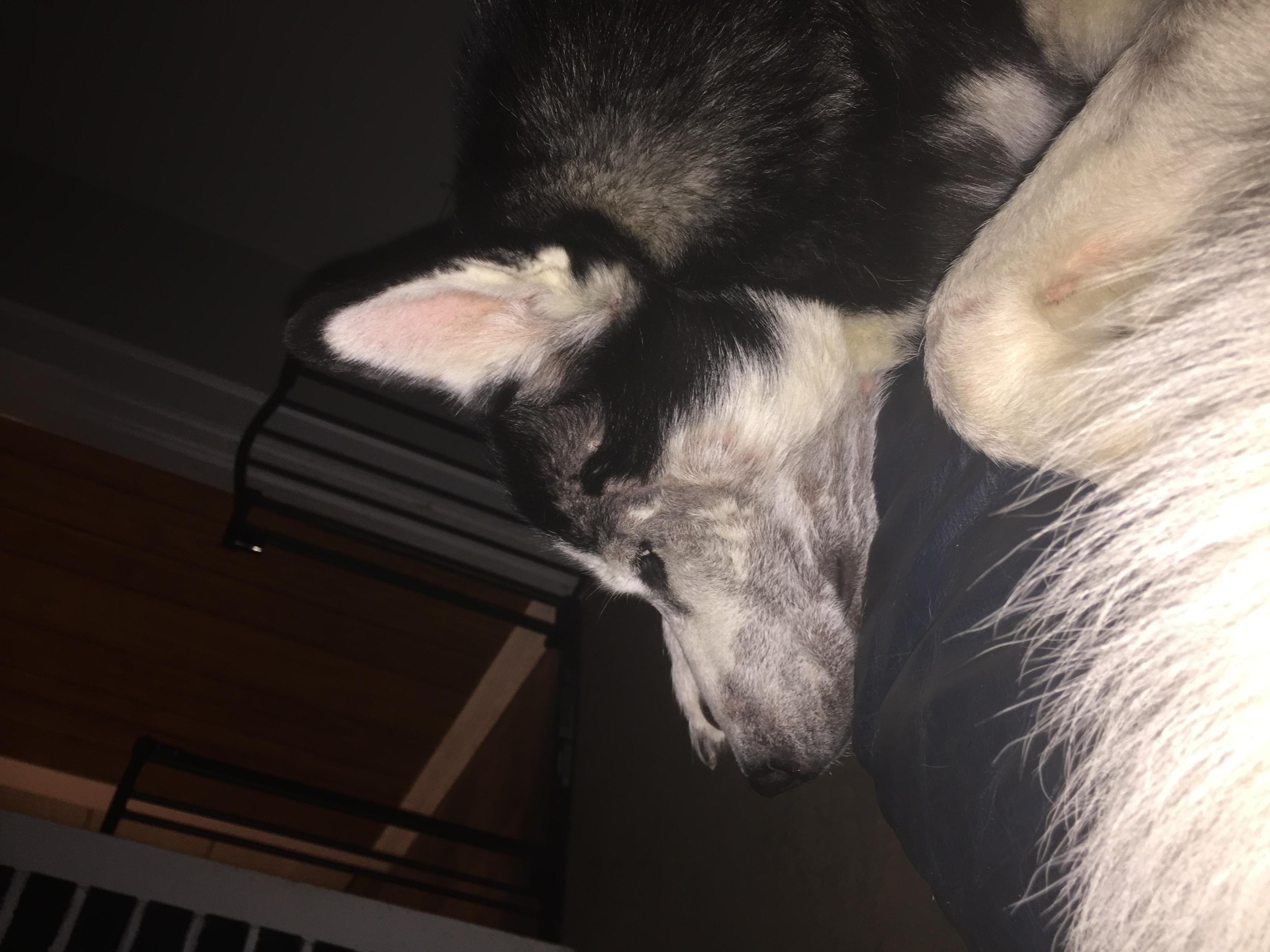 Question details sensitive content