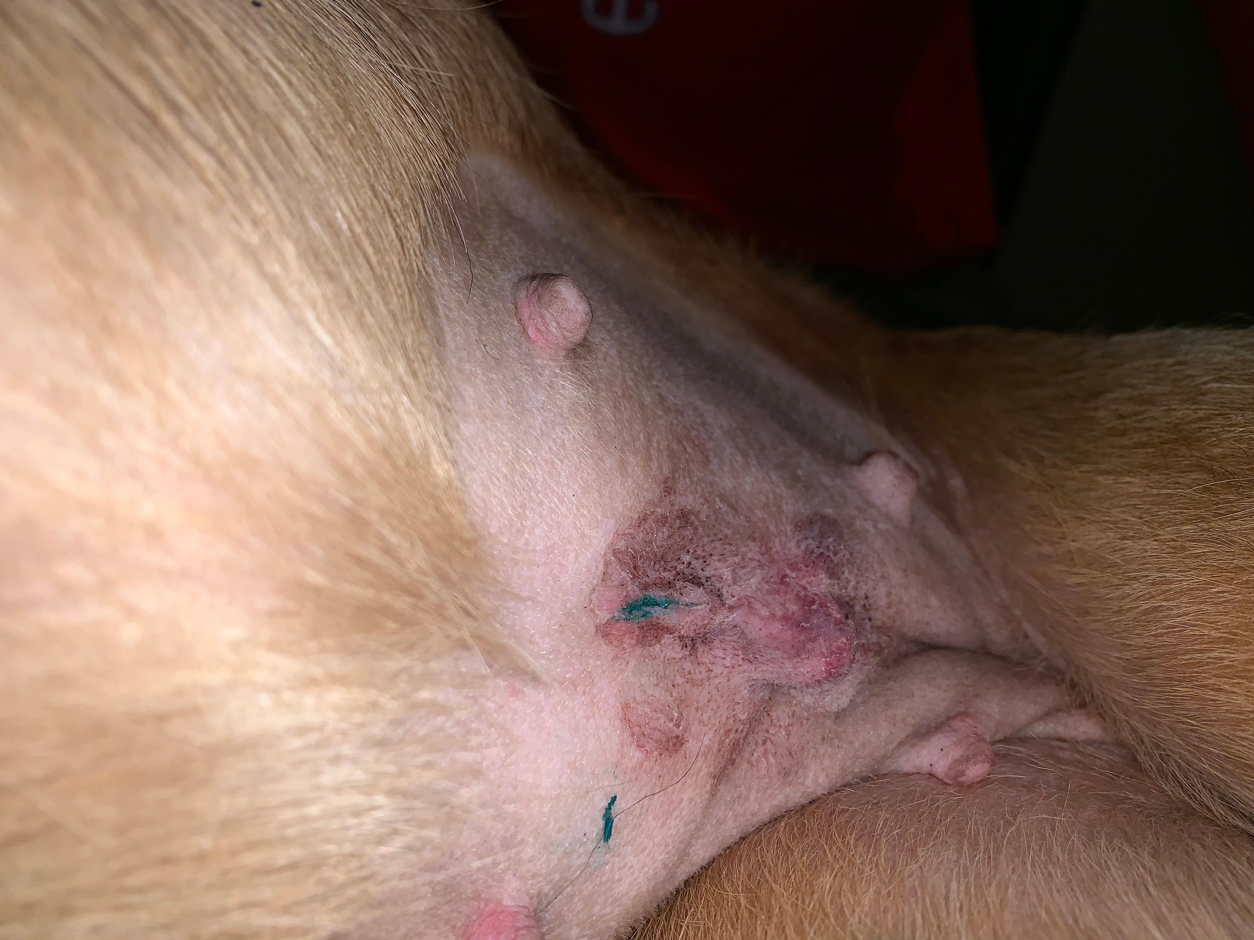 Question details sensitive content