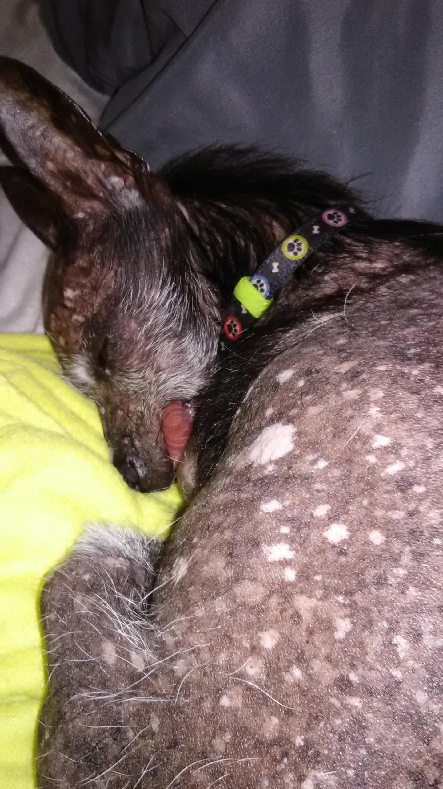 Question details sensitive content