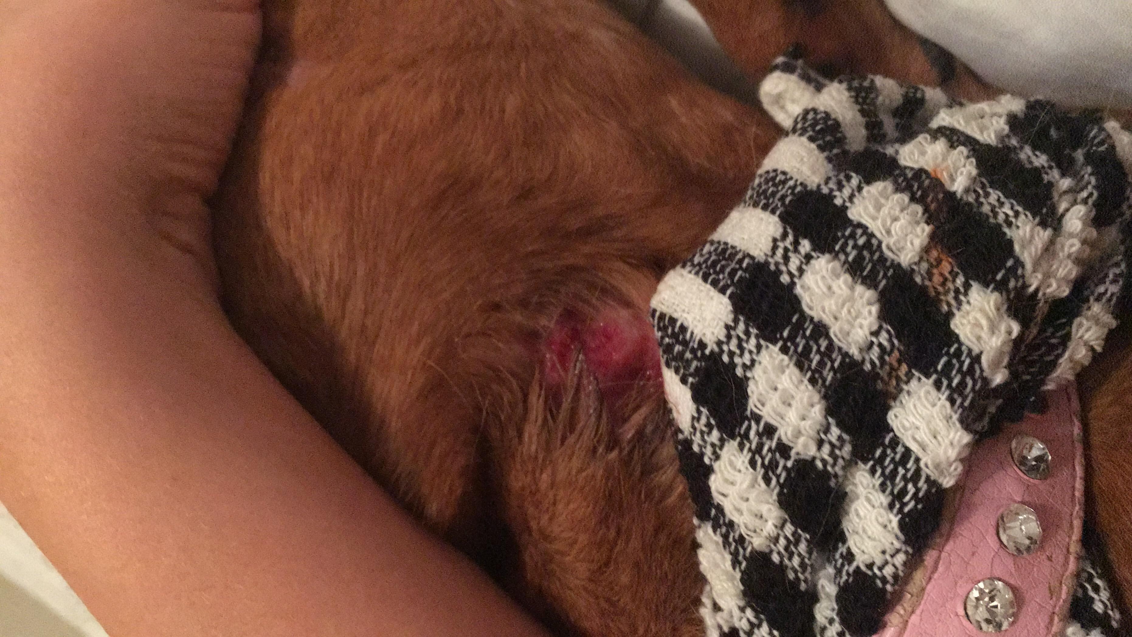 Question details sensitive content