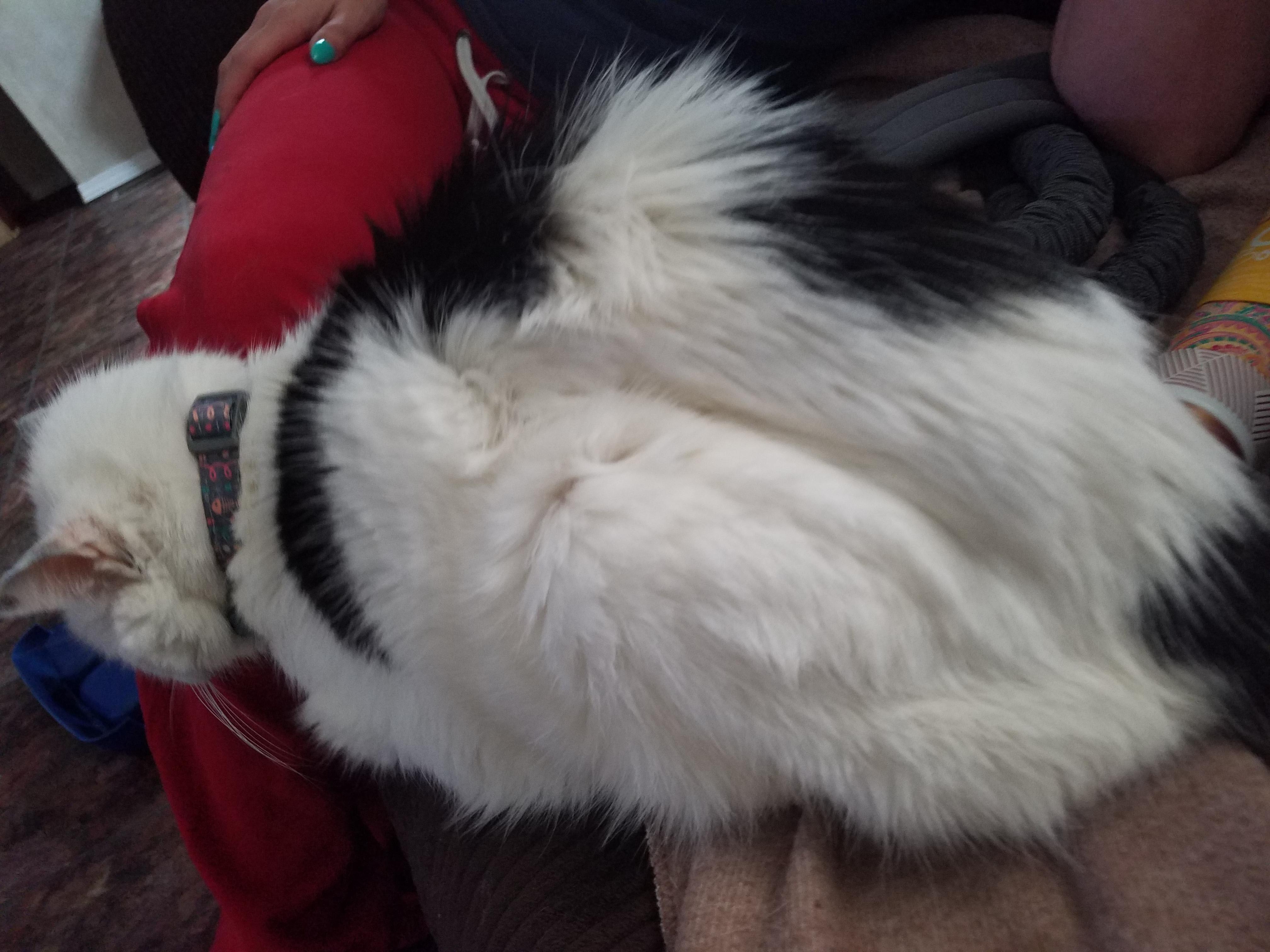 Question details sensitive content