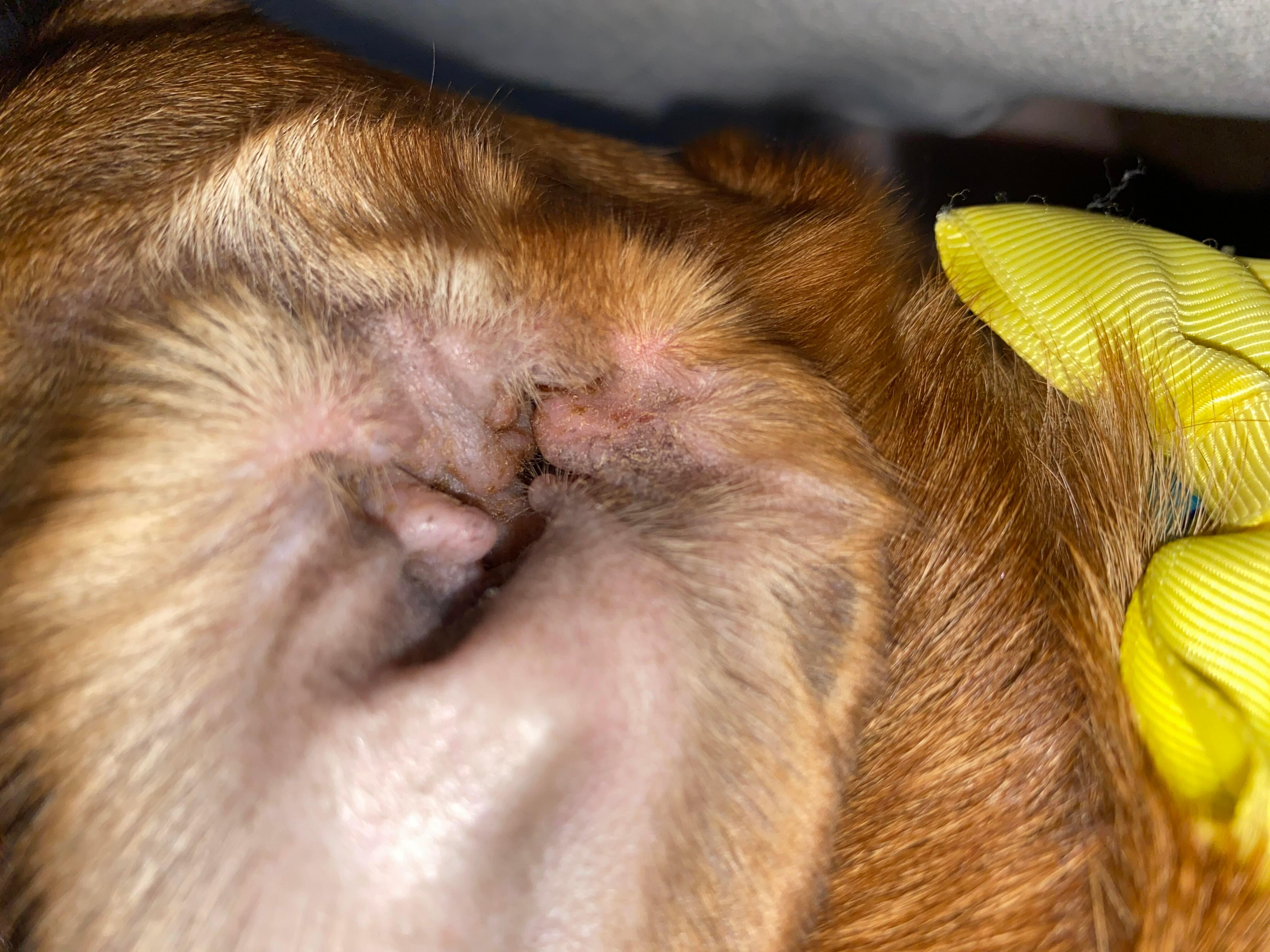 Question details sensitive content