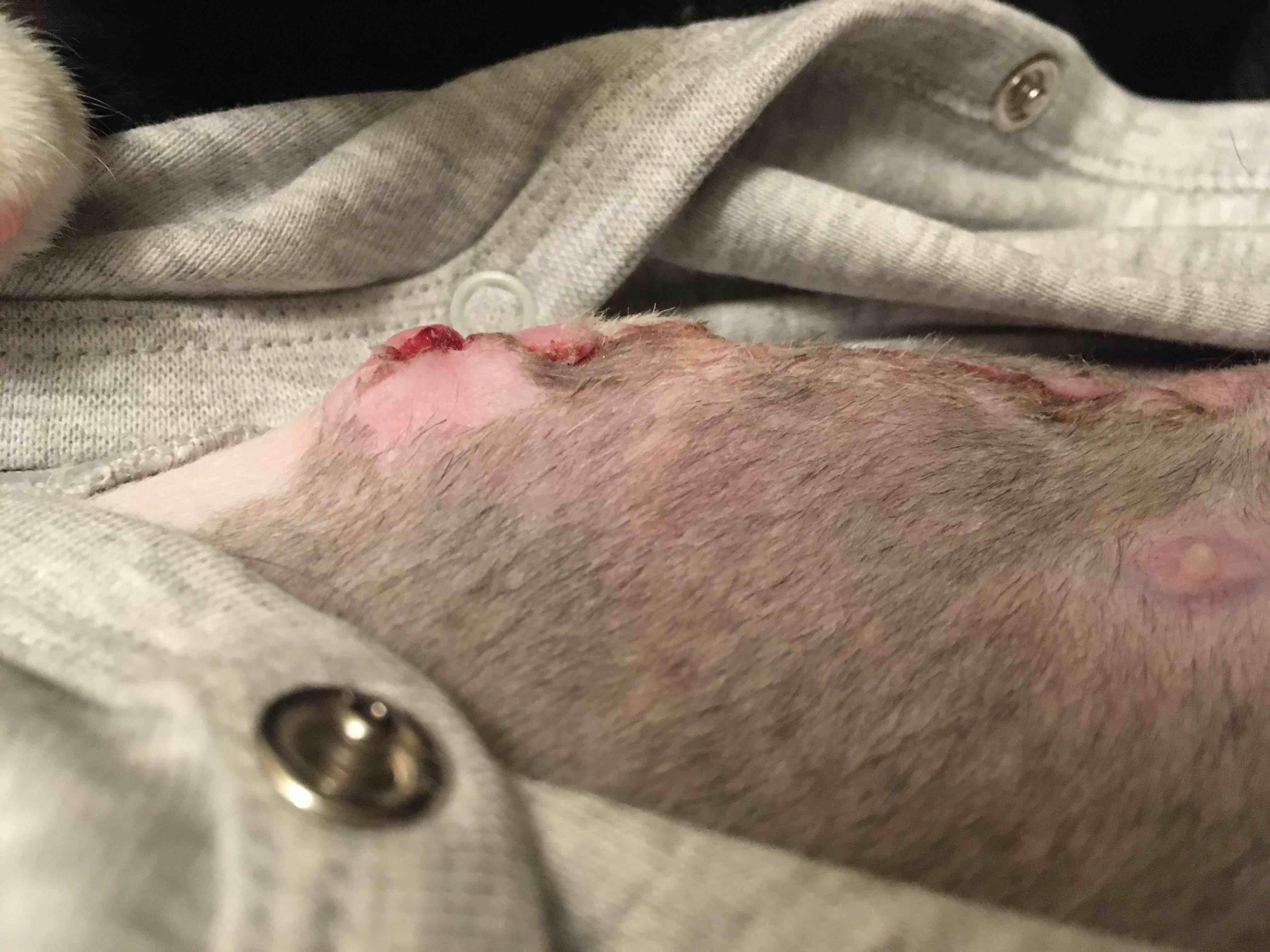 Question details sensitive content