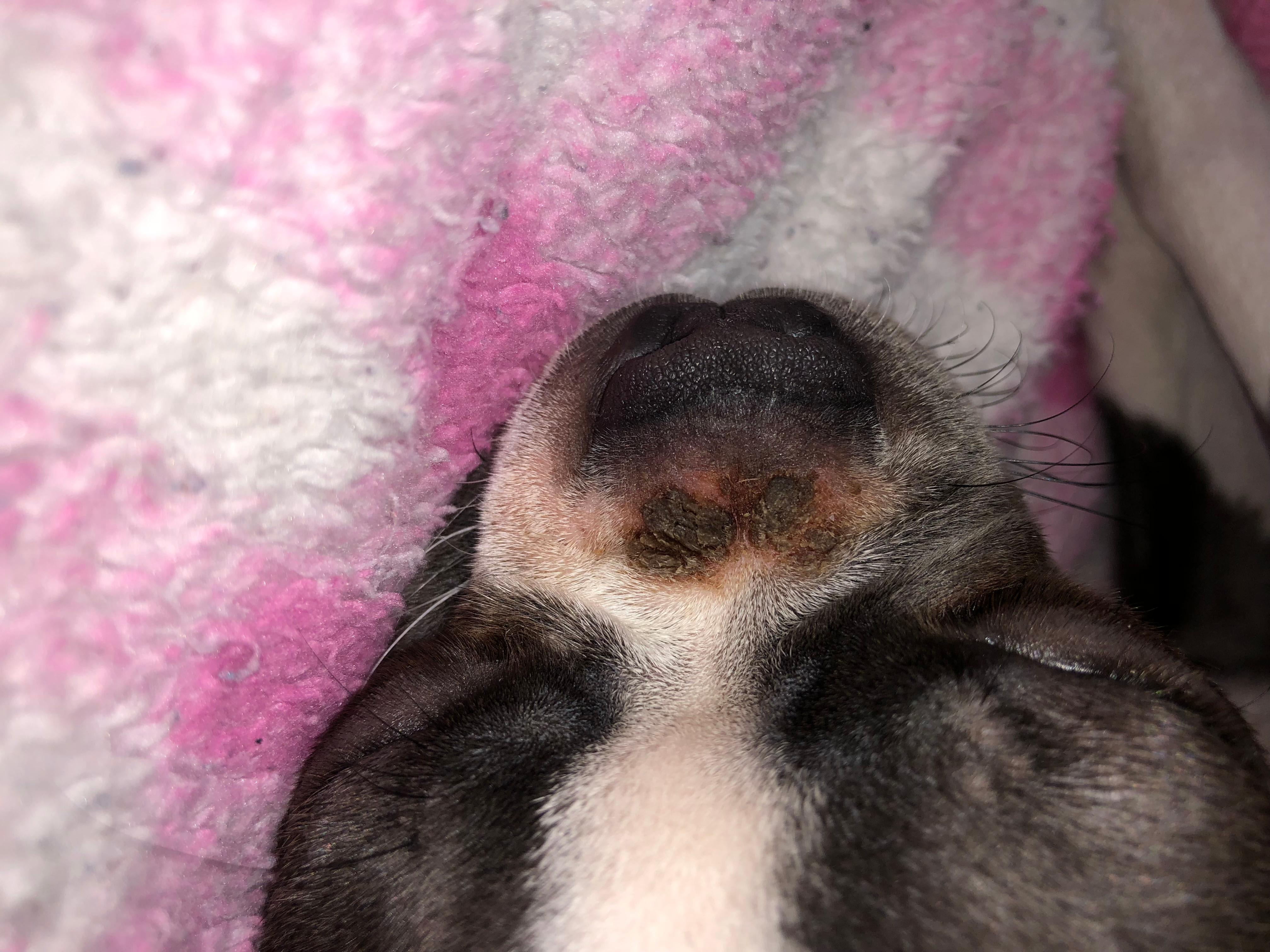 Question details sensitive content