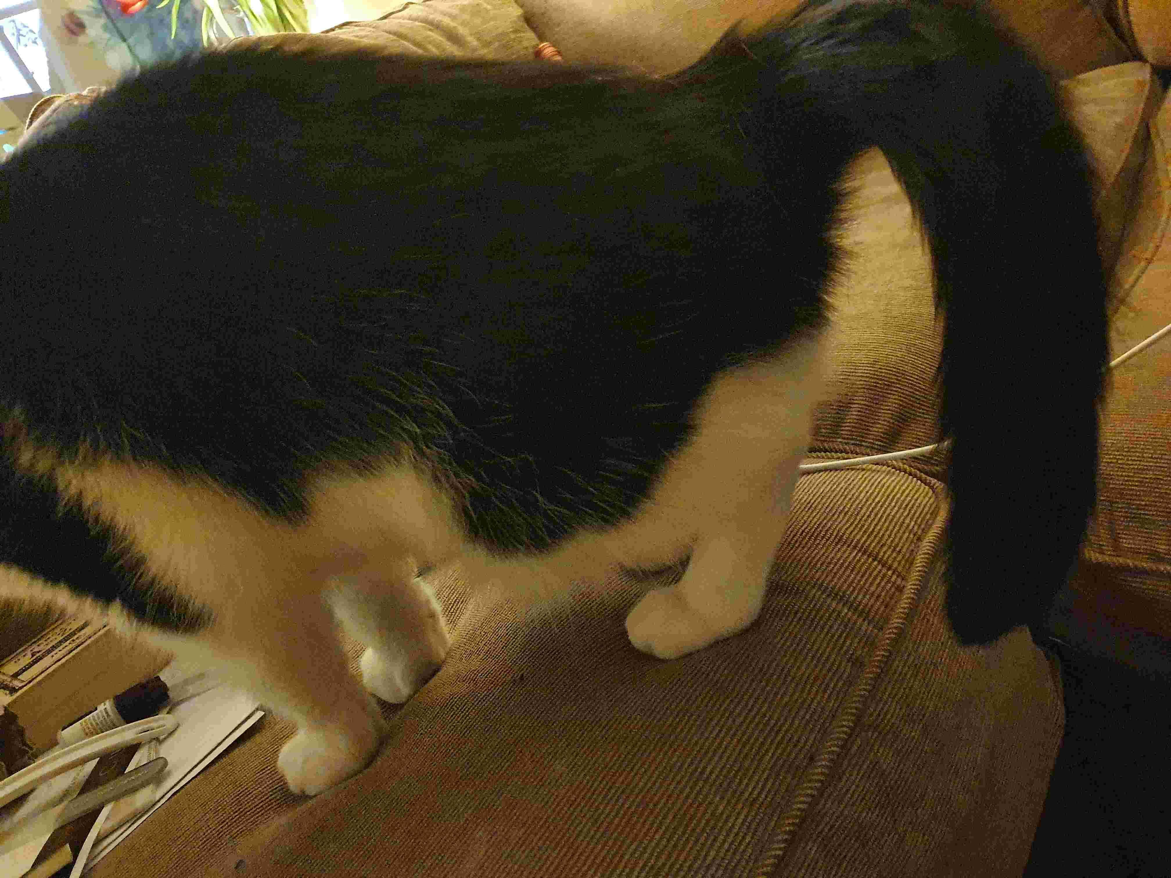 Question details sensitive content