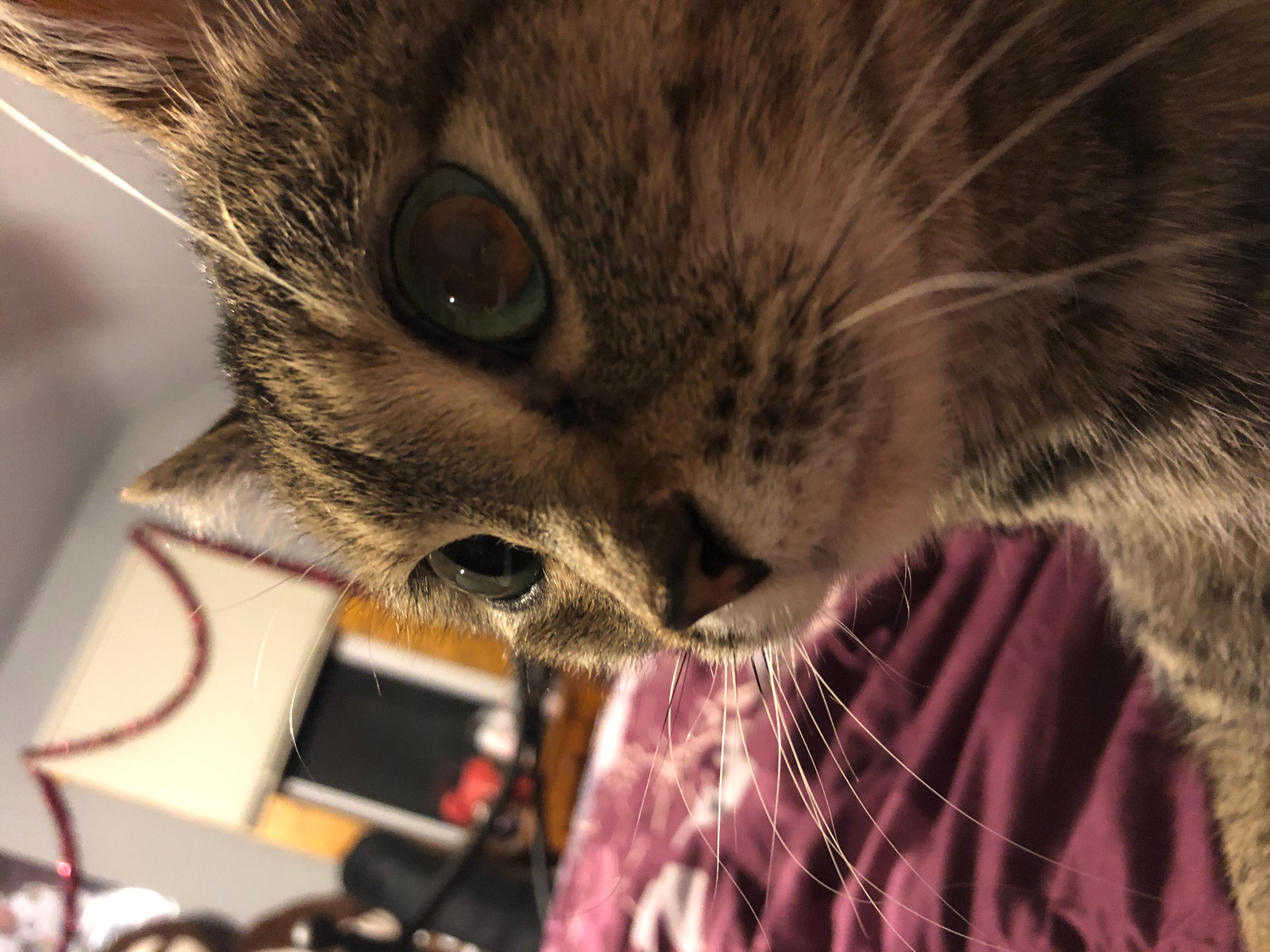 Question details sensitive content