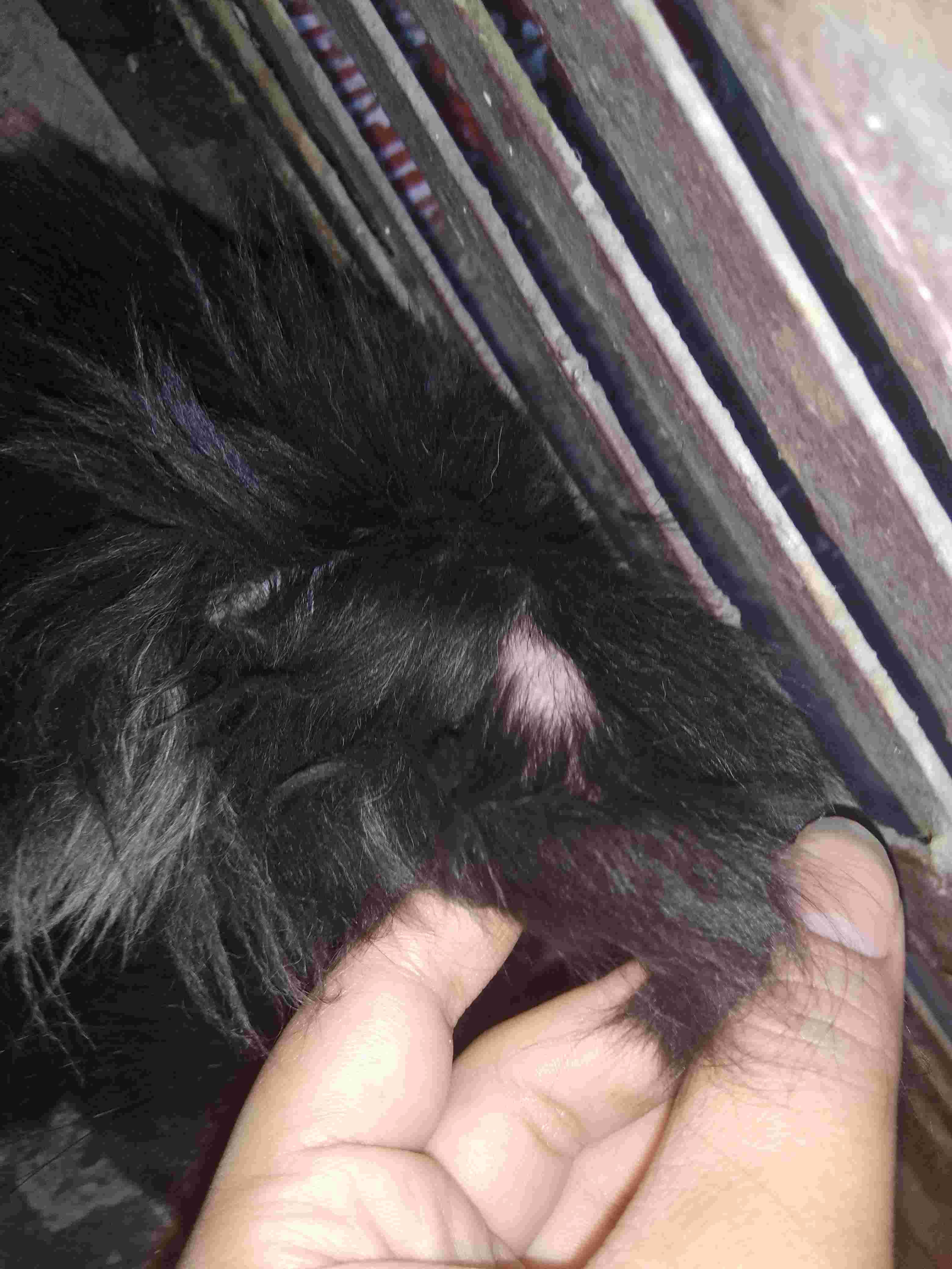 Question details sensitive content