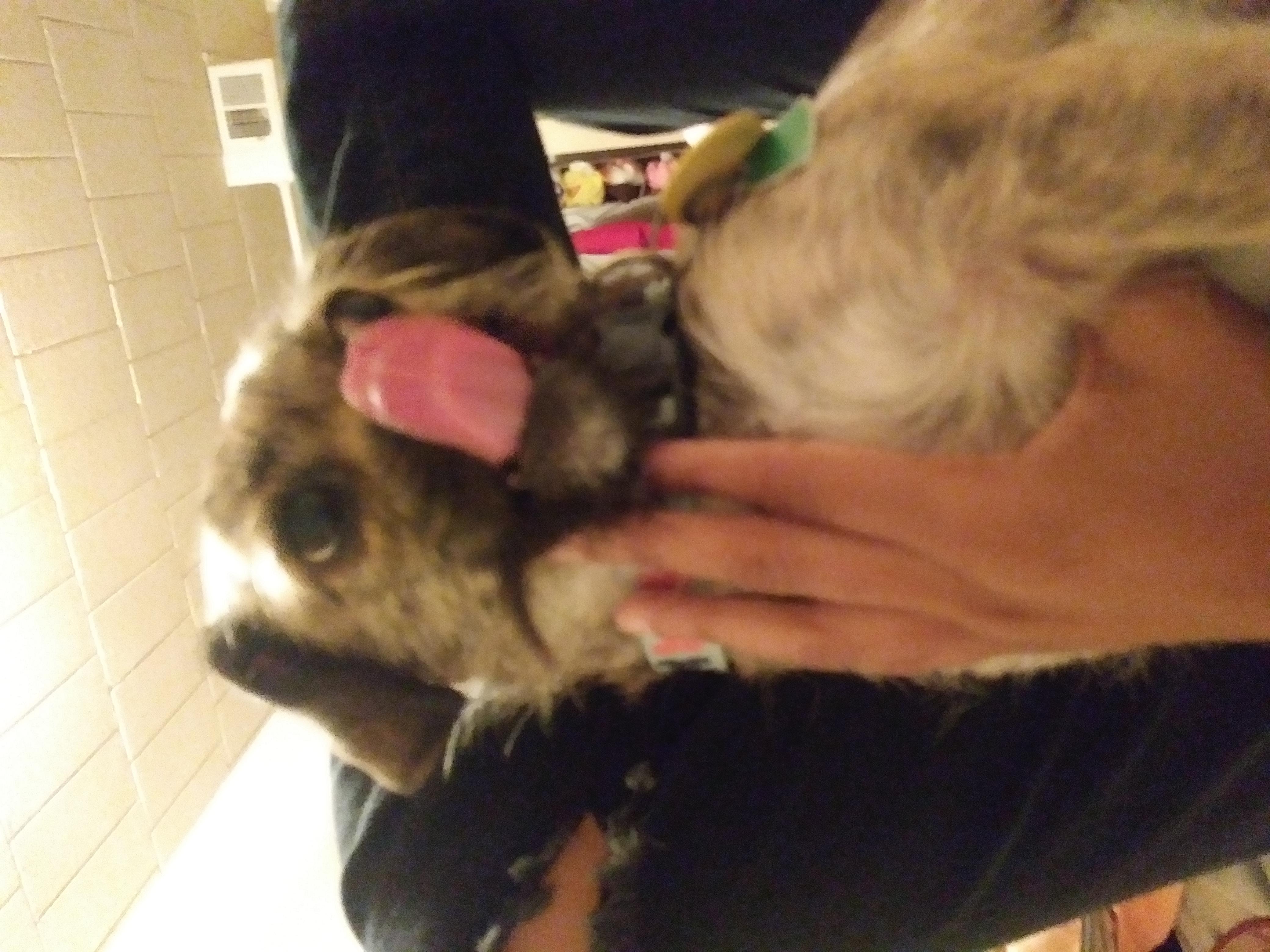 Question details sensitive content