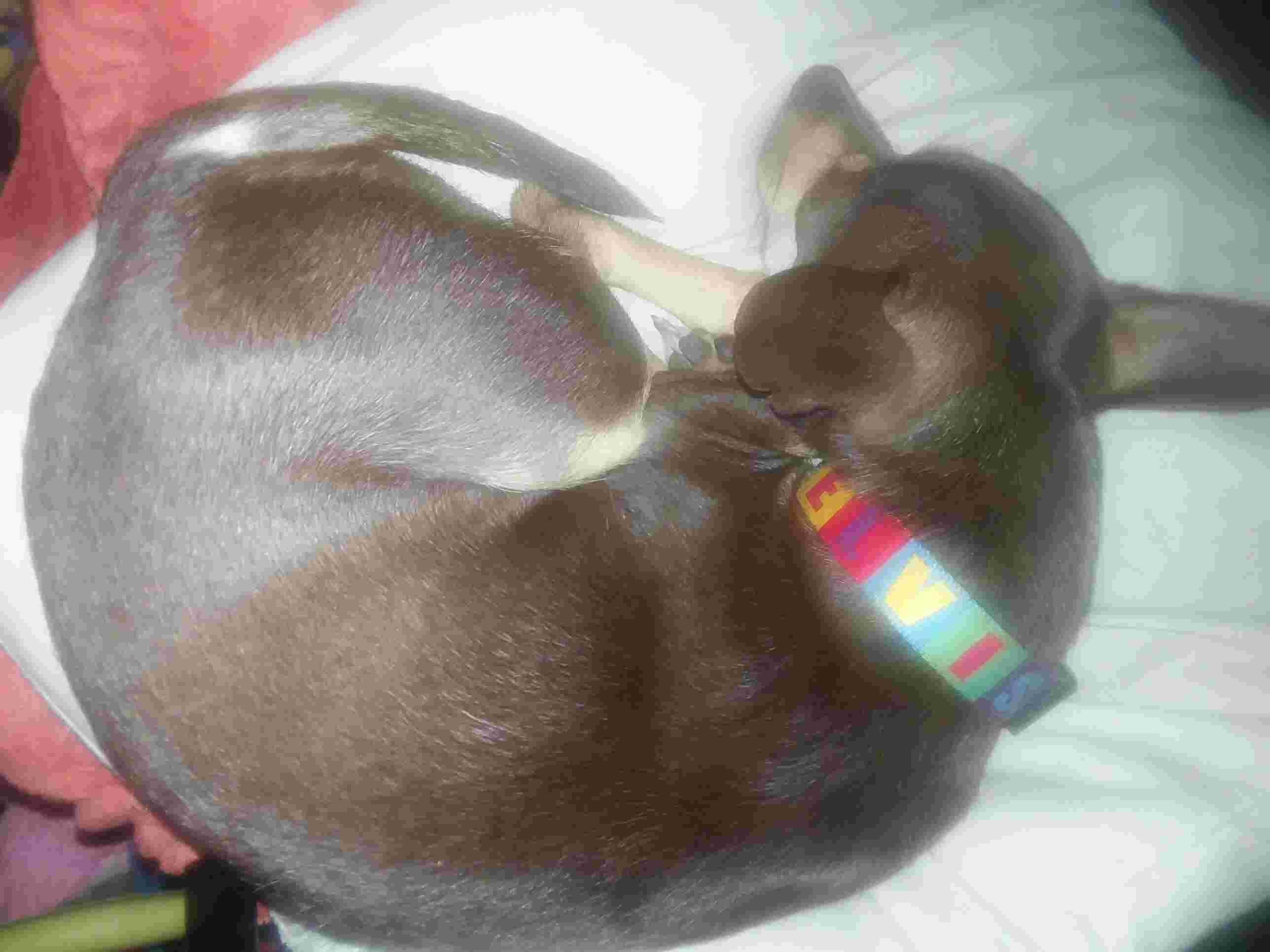 Question details sensitive content