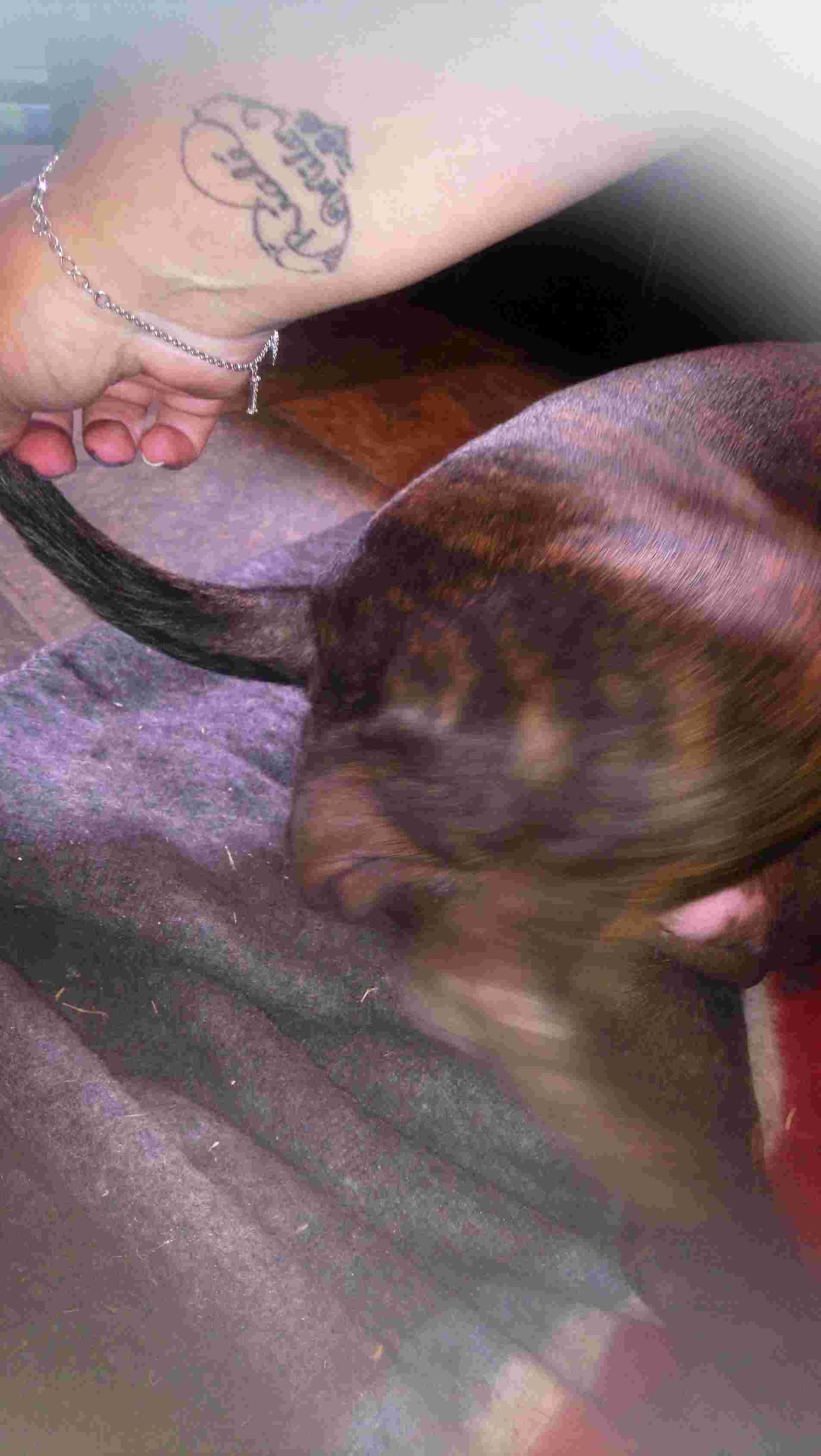 Question details sensitive content