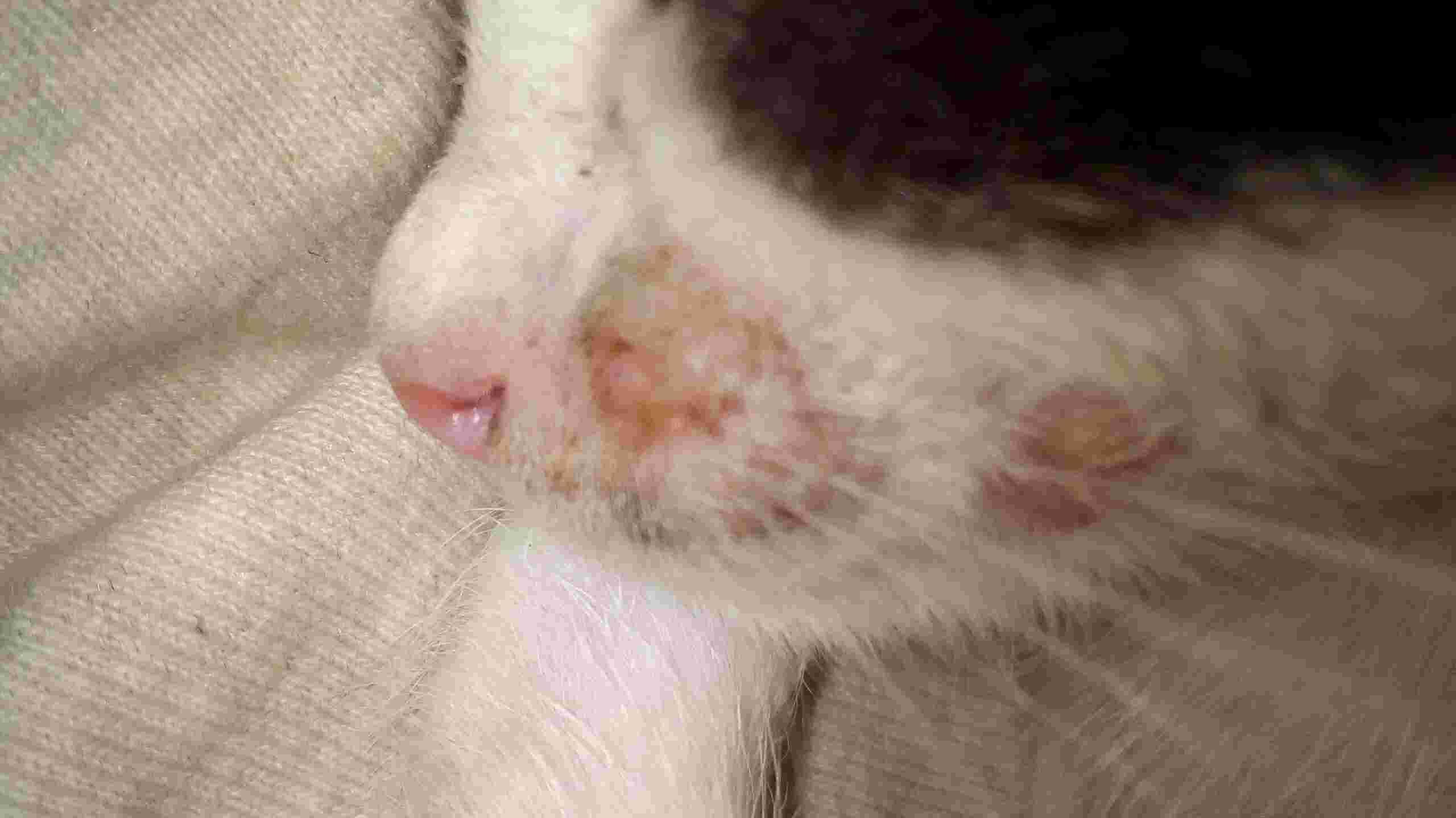 Question details sensitive content