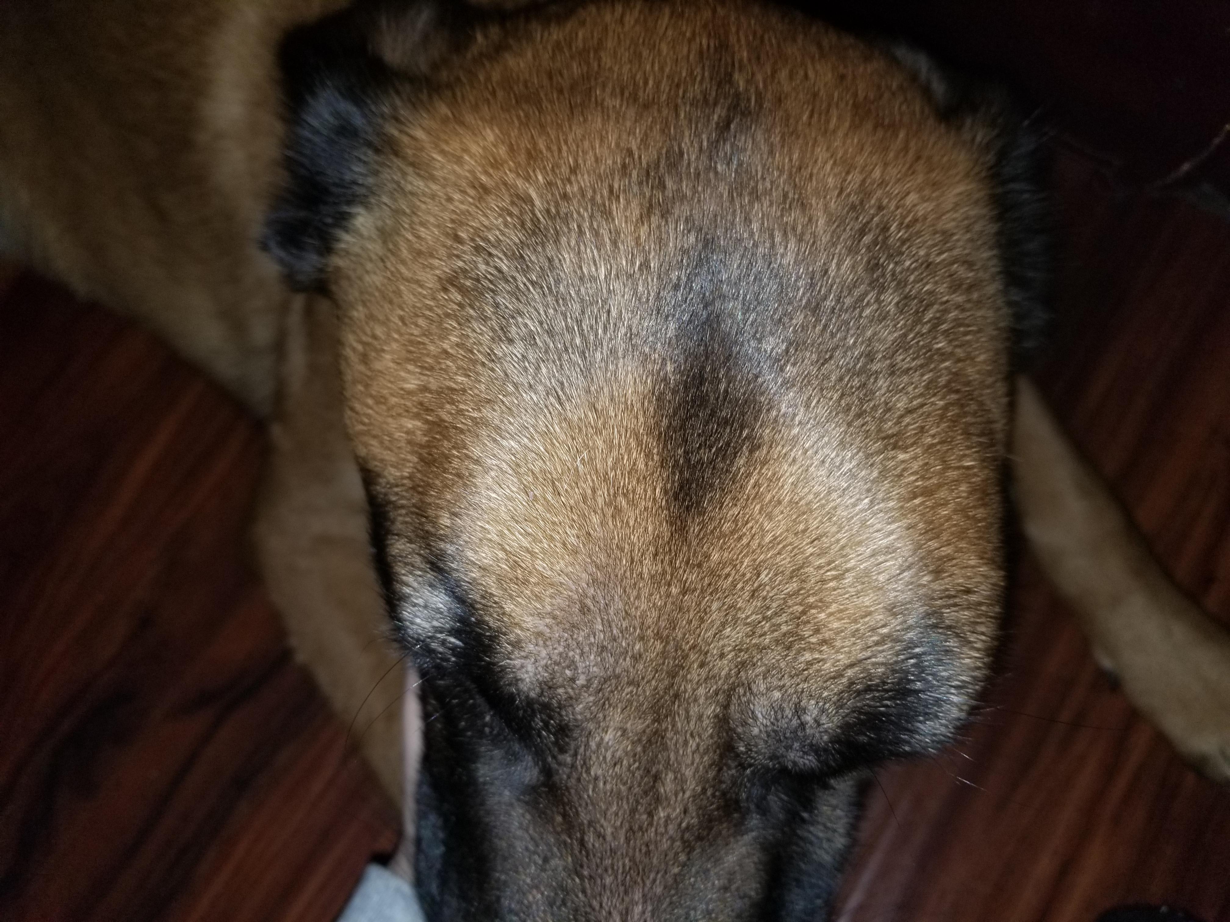 Question details sensitive content