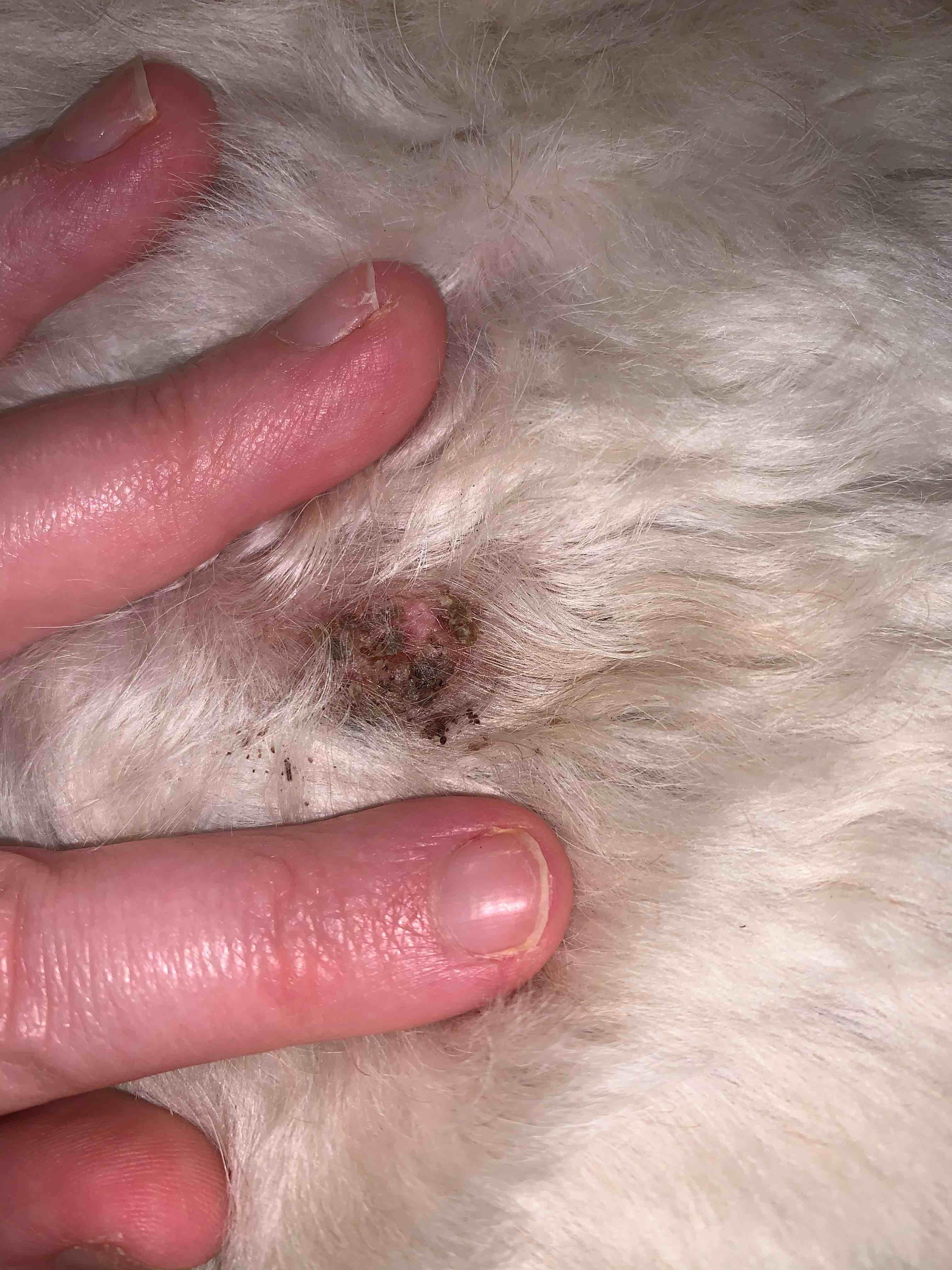 Question details sensitive content